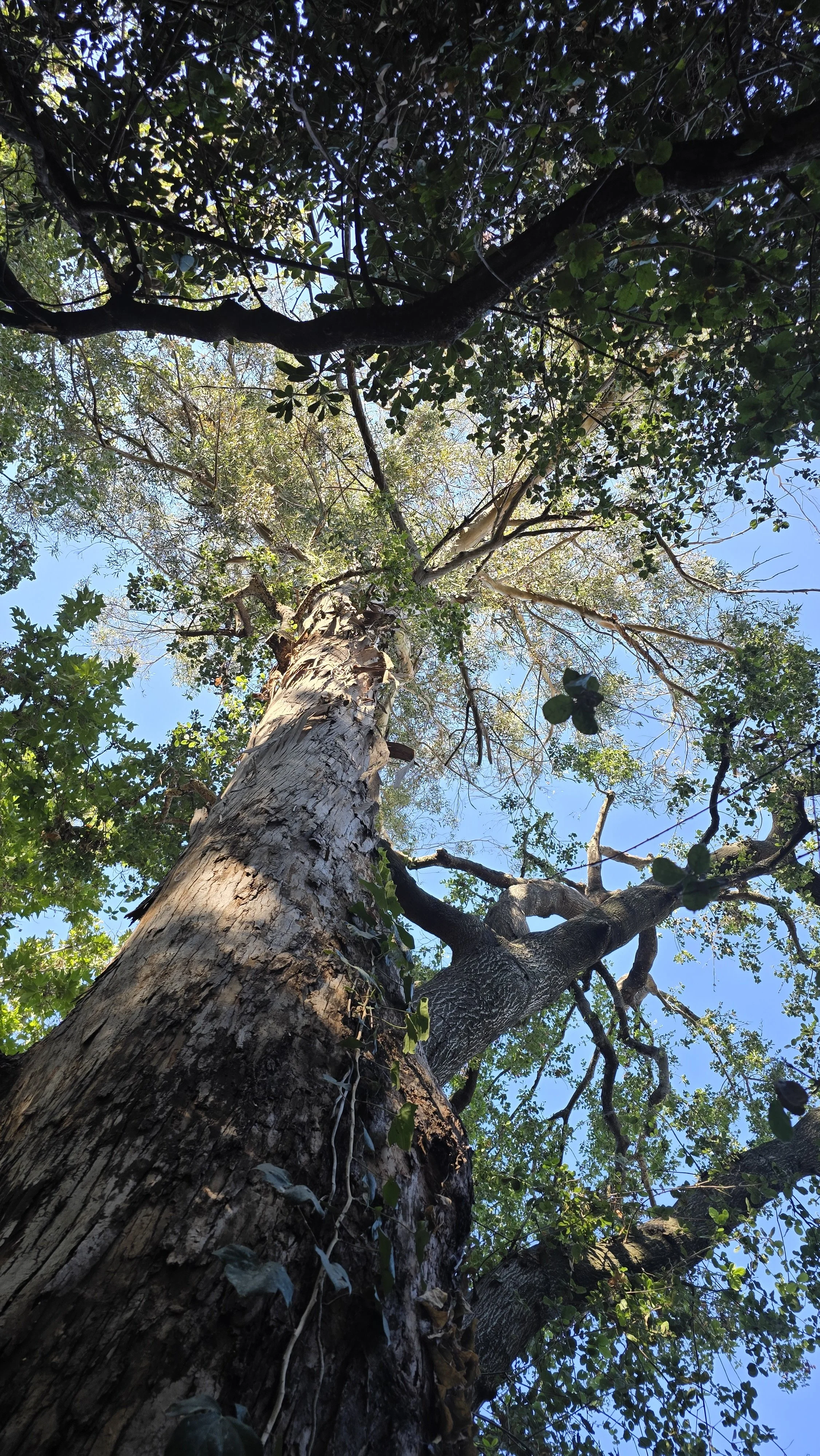 20241014_130146.jpg