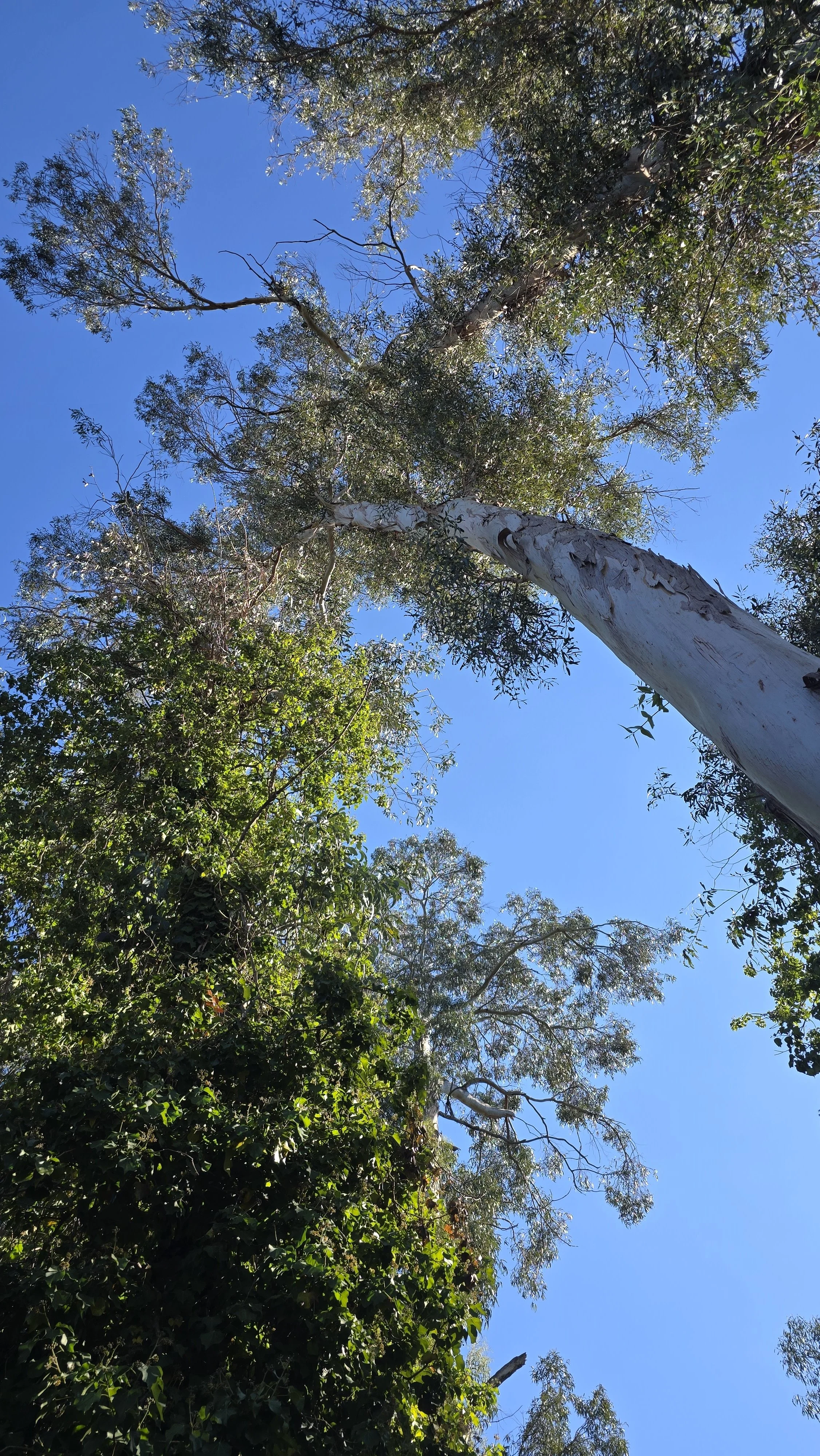 20241014_130839.jpg