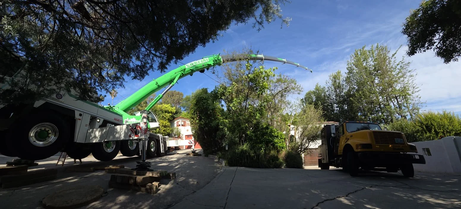 long reach, crane, large crane, long radius, tree removal, long swing, tight quarters, tree crane