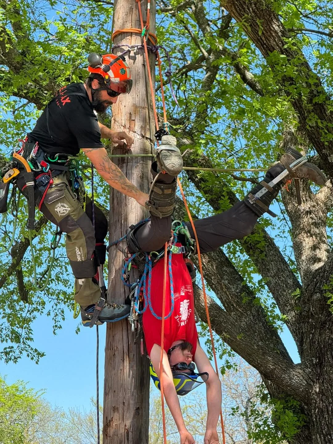 A worker and a young person are performing a rescue operation on a power pole. The young person is hanging upside down while the worker is secured to the pole, assisting with the rescue.