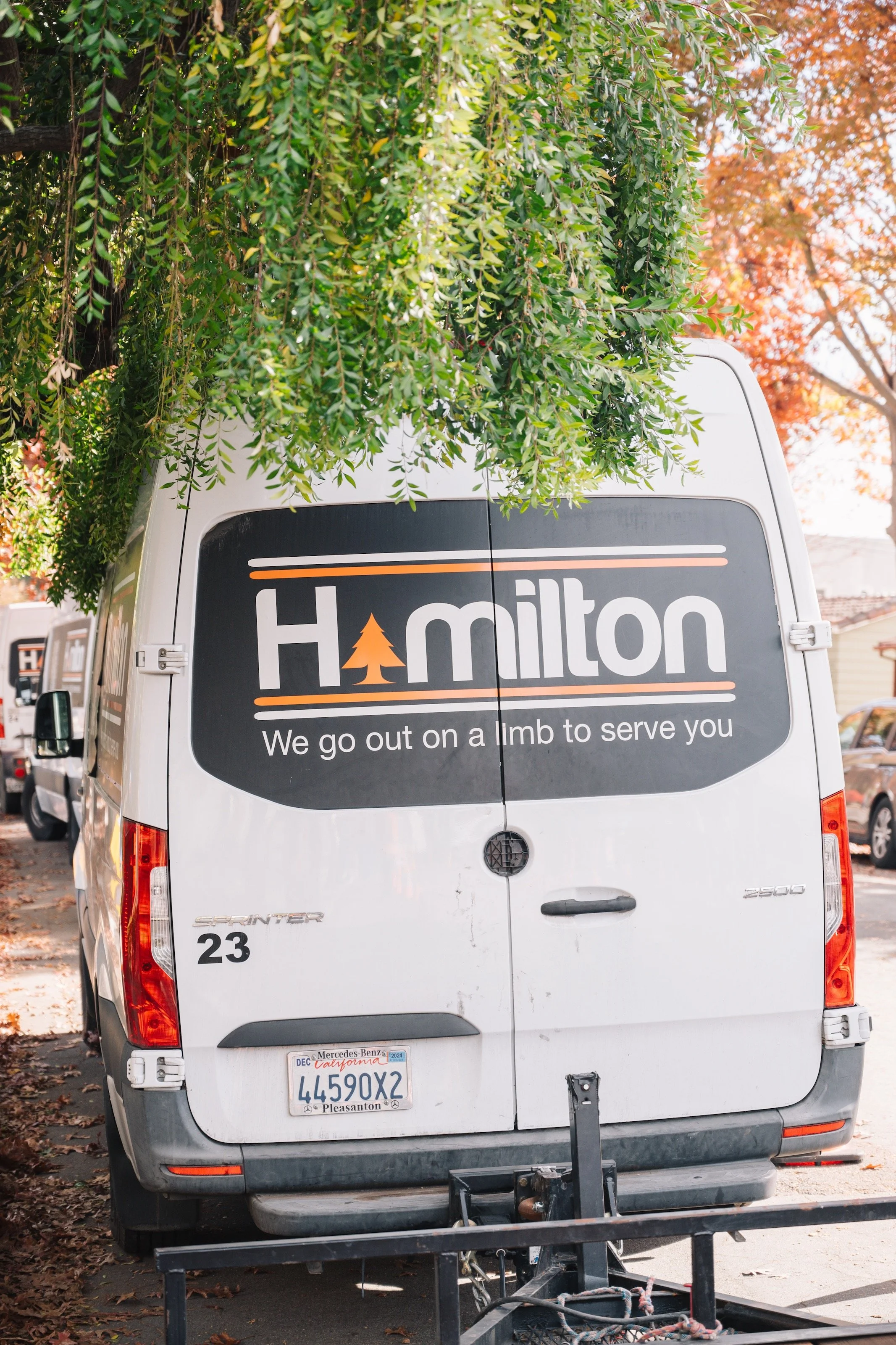 hamilton_292.jpg