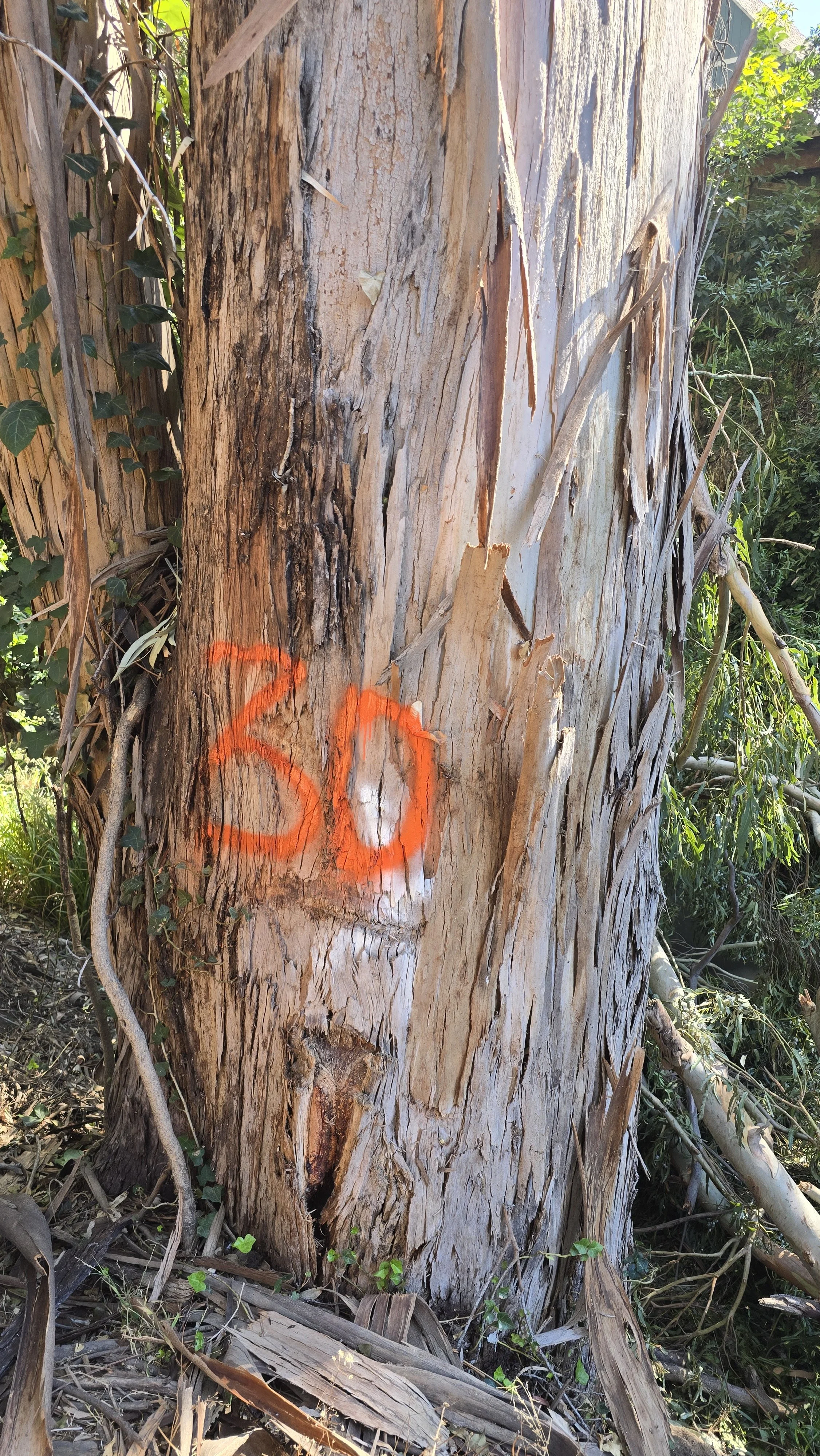 20241014_131113.jpg