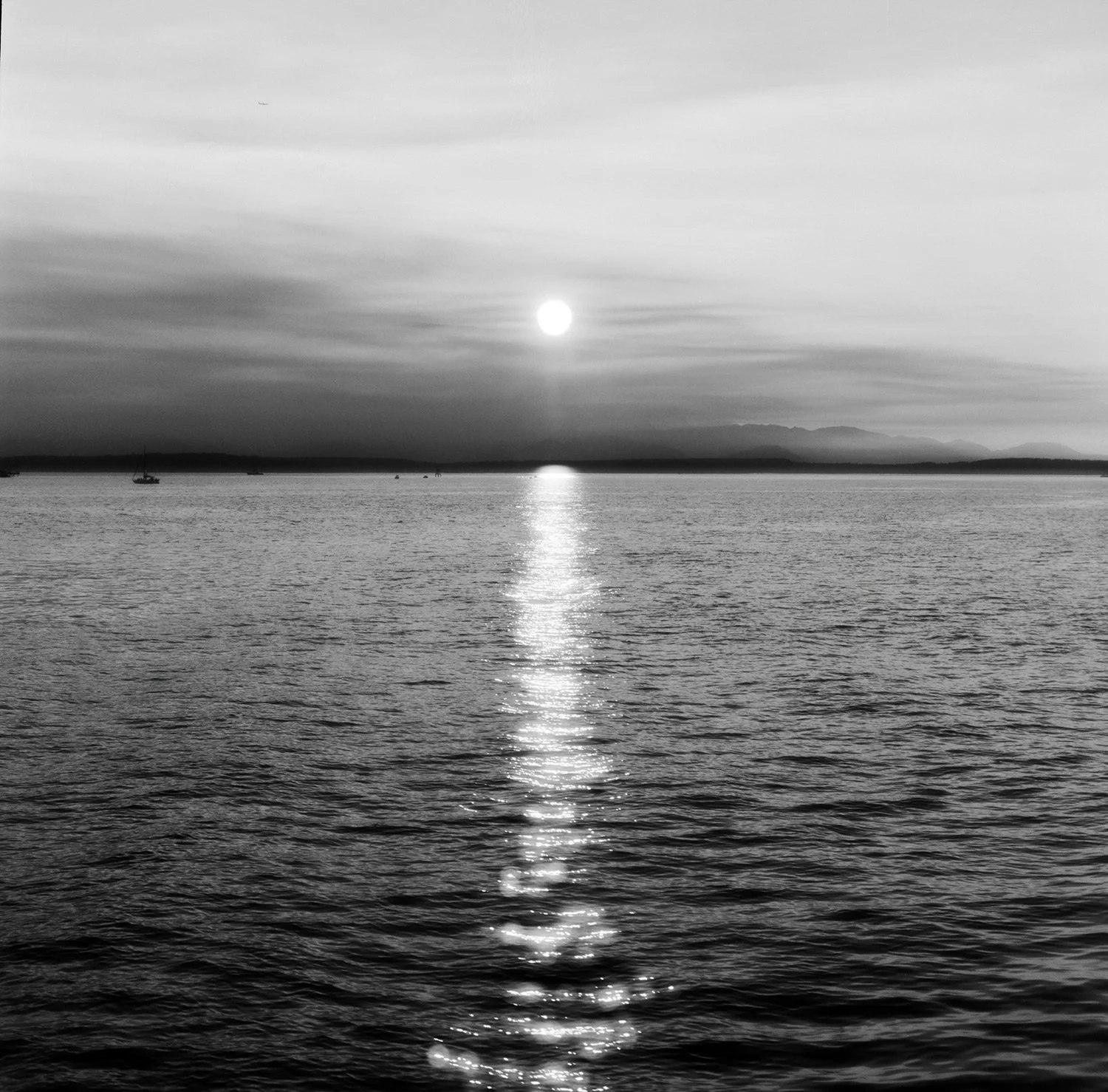 2508160005____.jpg