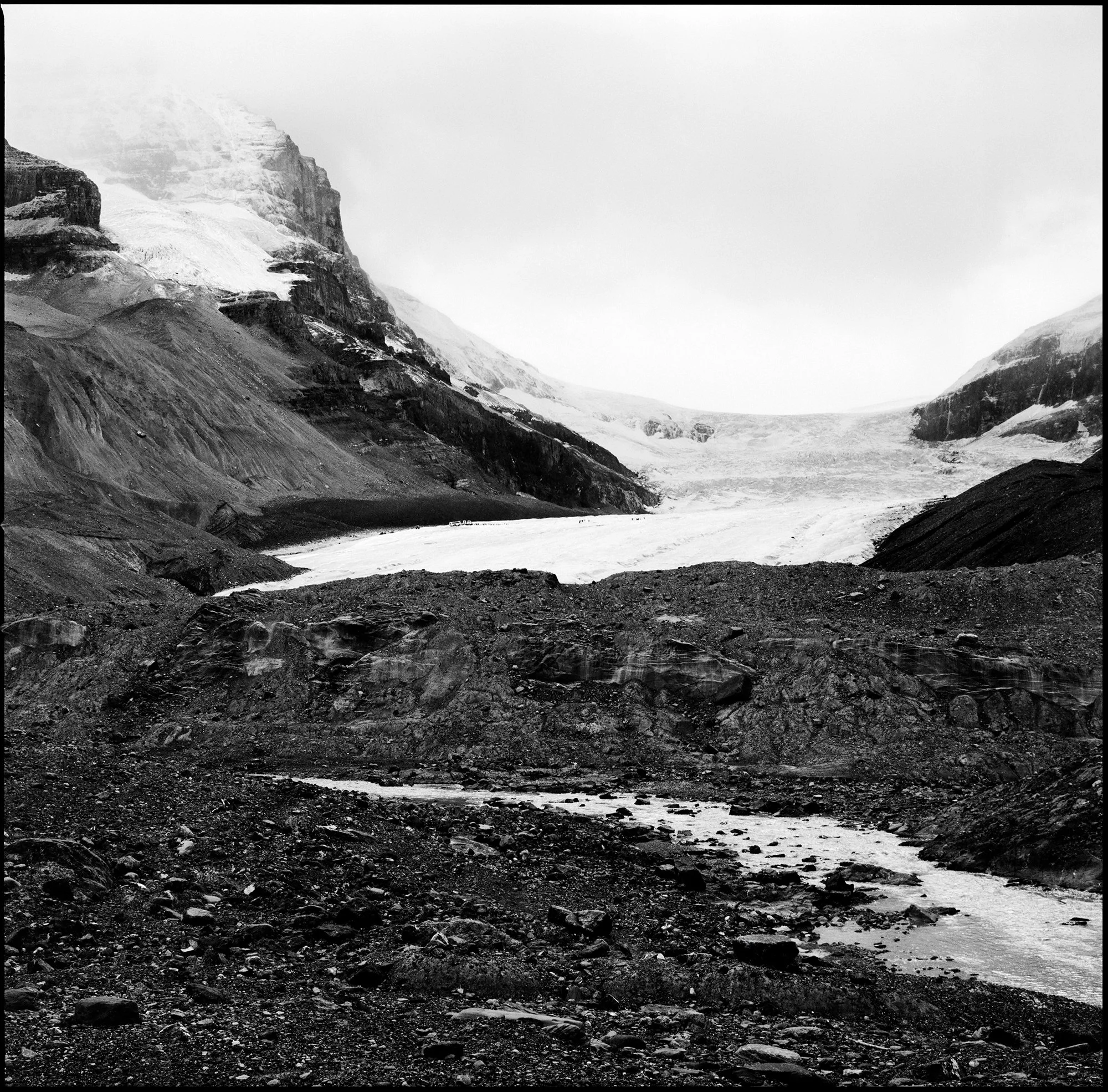 2510110010____ - fullborder - sm.jpg