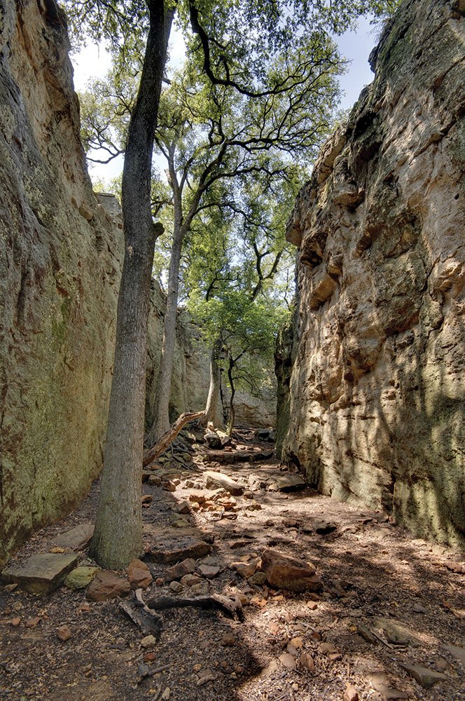 A narrow dirt trail between tall rocky cliffs with sparse trees and green foliage overhead, sunlight filtering through the leaves.