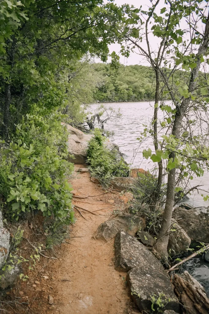 A dirt trail running beside a body of water, lined with green trees and rocks.