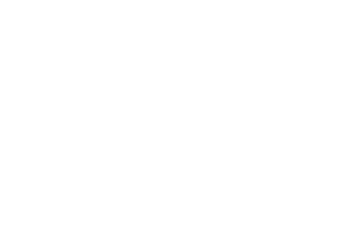 Shopify logo with a shopping bag icon and the word 'shopify' in lowercase letters.