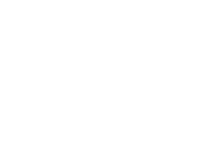 A logo with a dual-headed bird and the word 'VIRTUE' underneath.