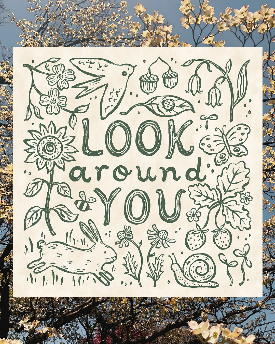 Look Around You Insta 1.png