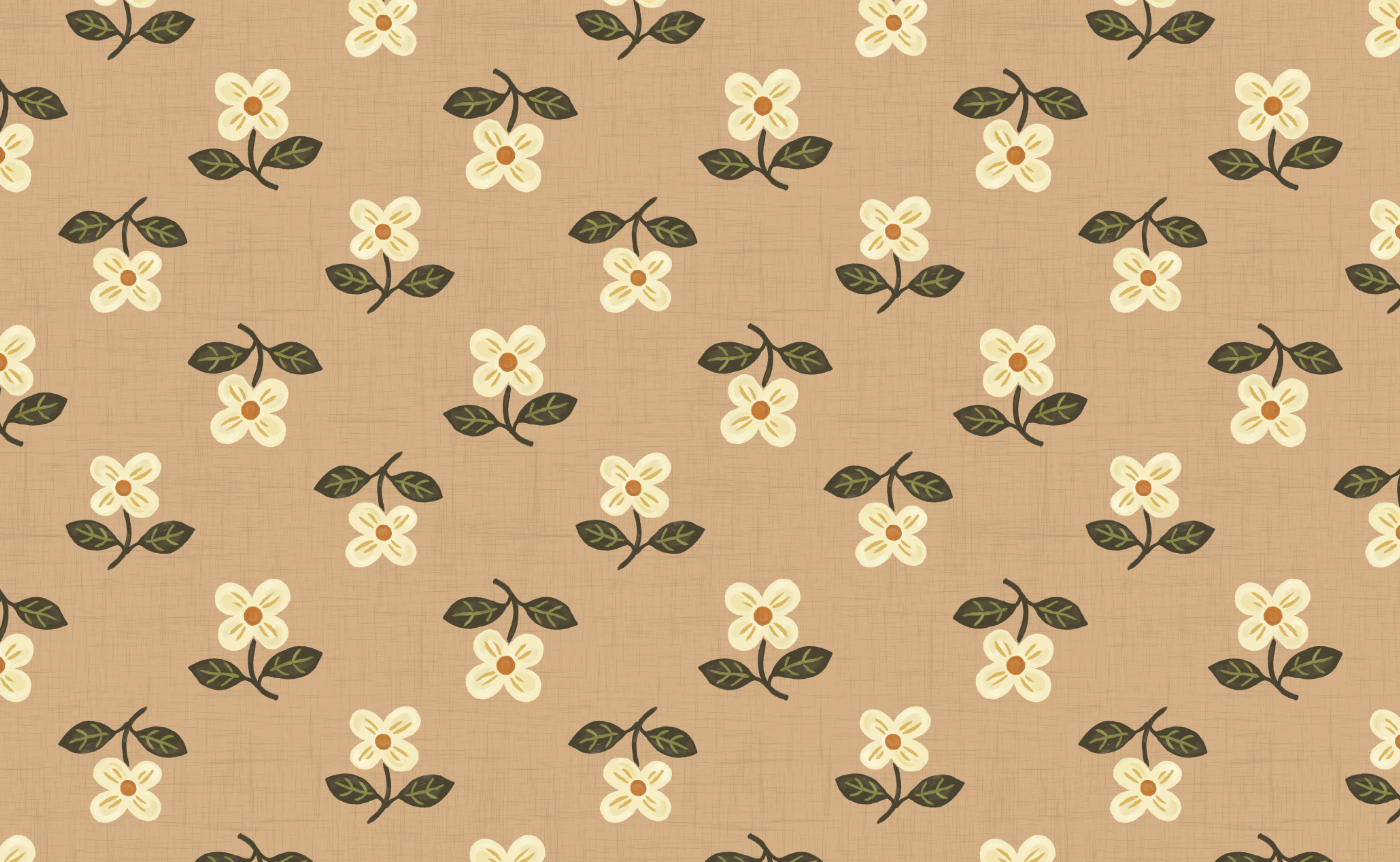Site-Img-57.png