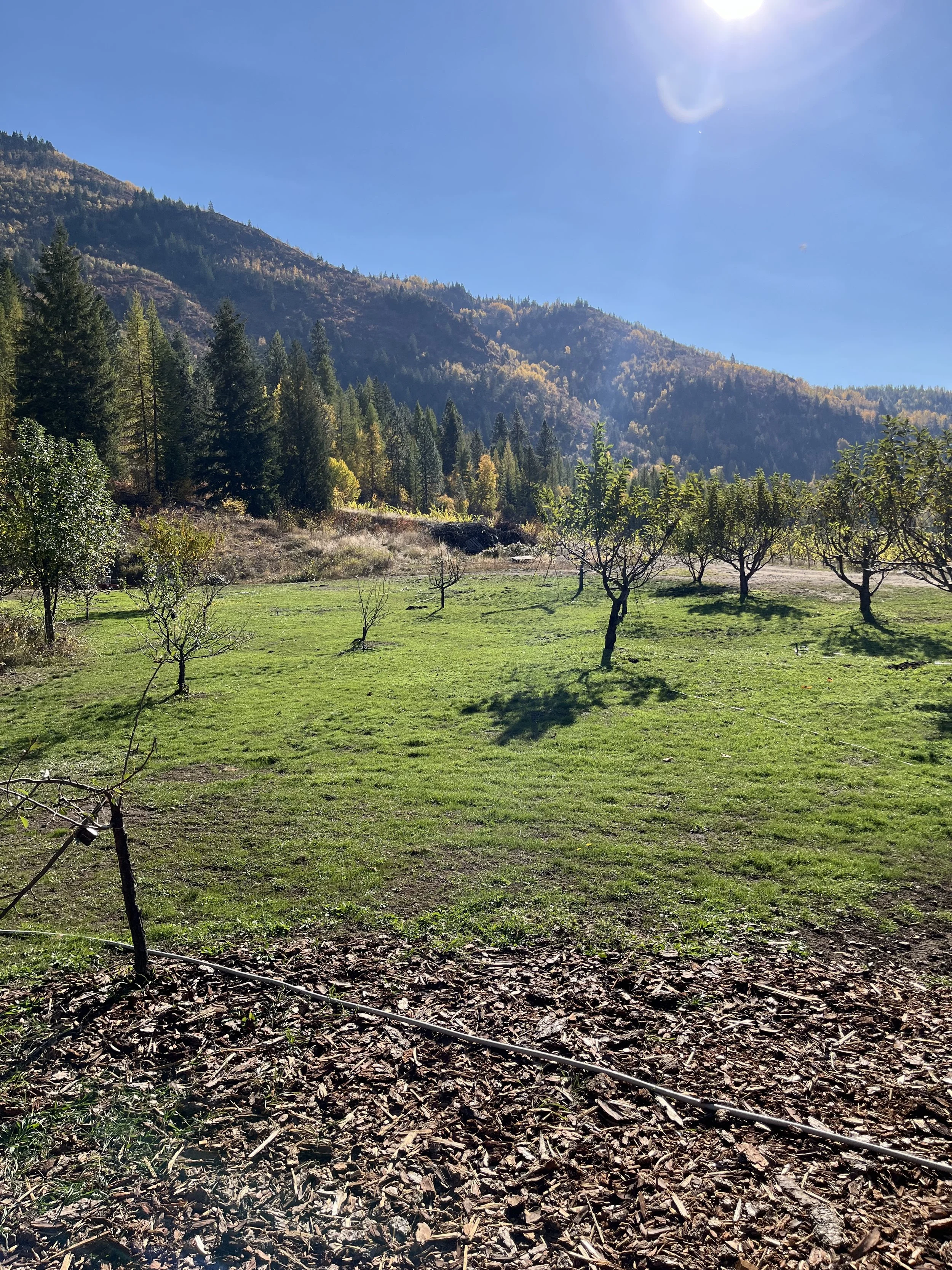 Settle in and enjoy the view.