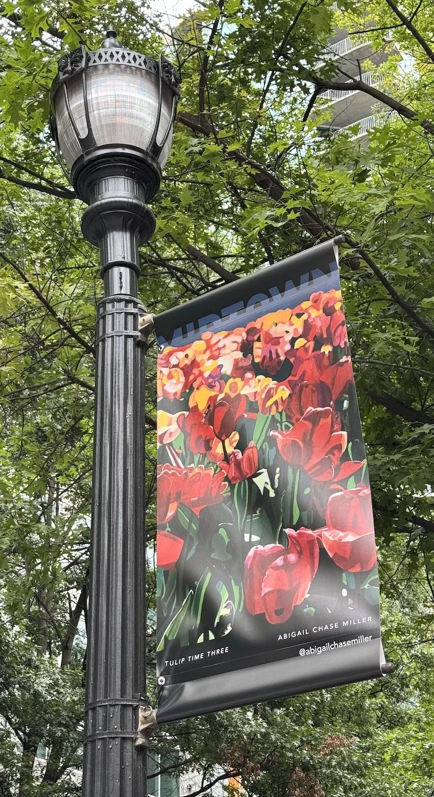 Midtown Atlanta, GA