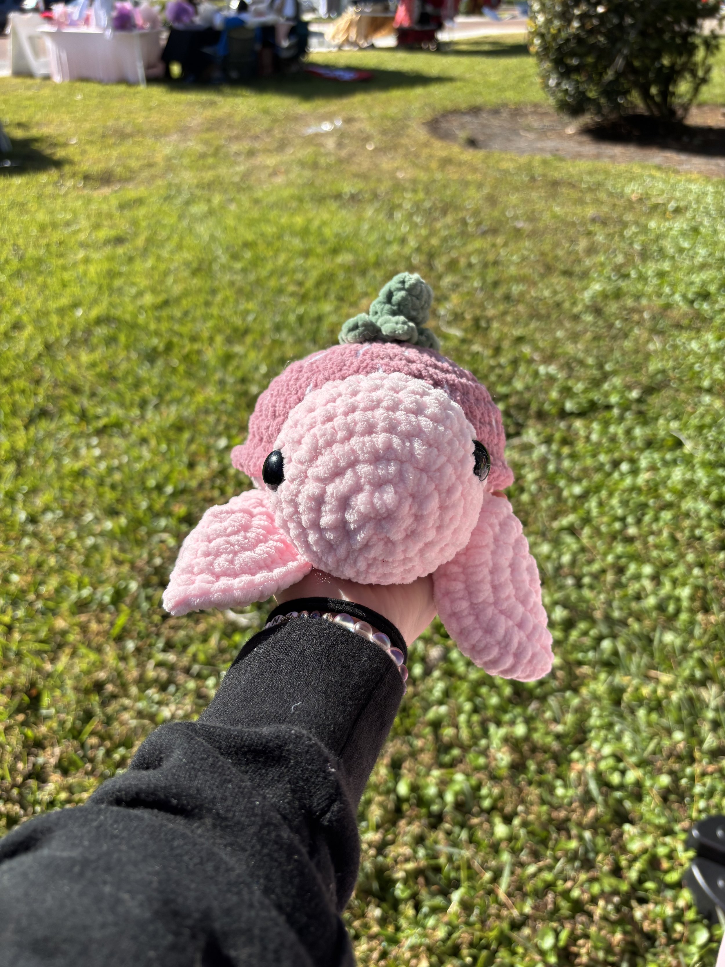 strawberry turtle front.jpg