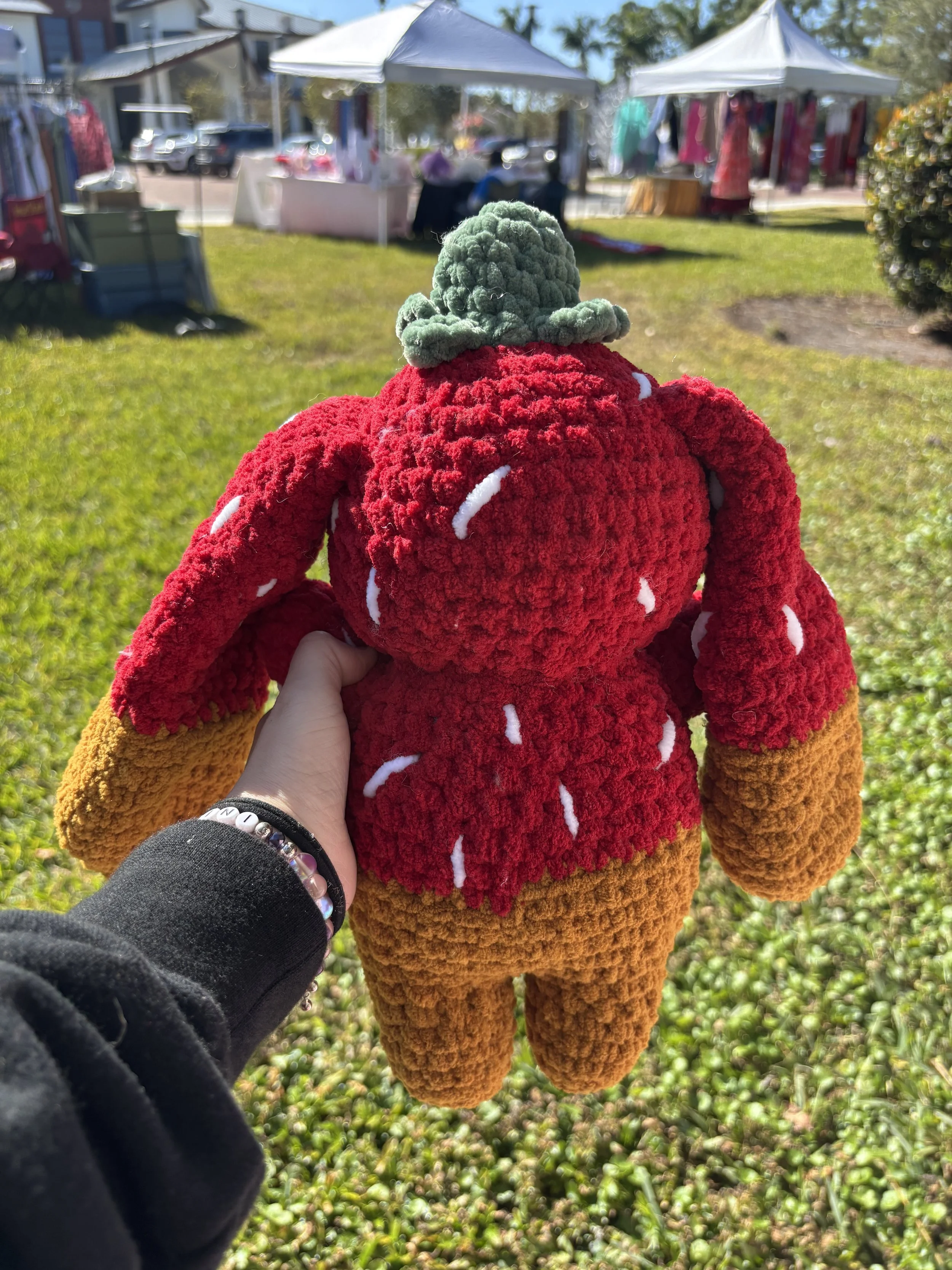 chocolate strawberry bunny back.jpg