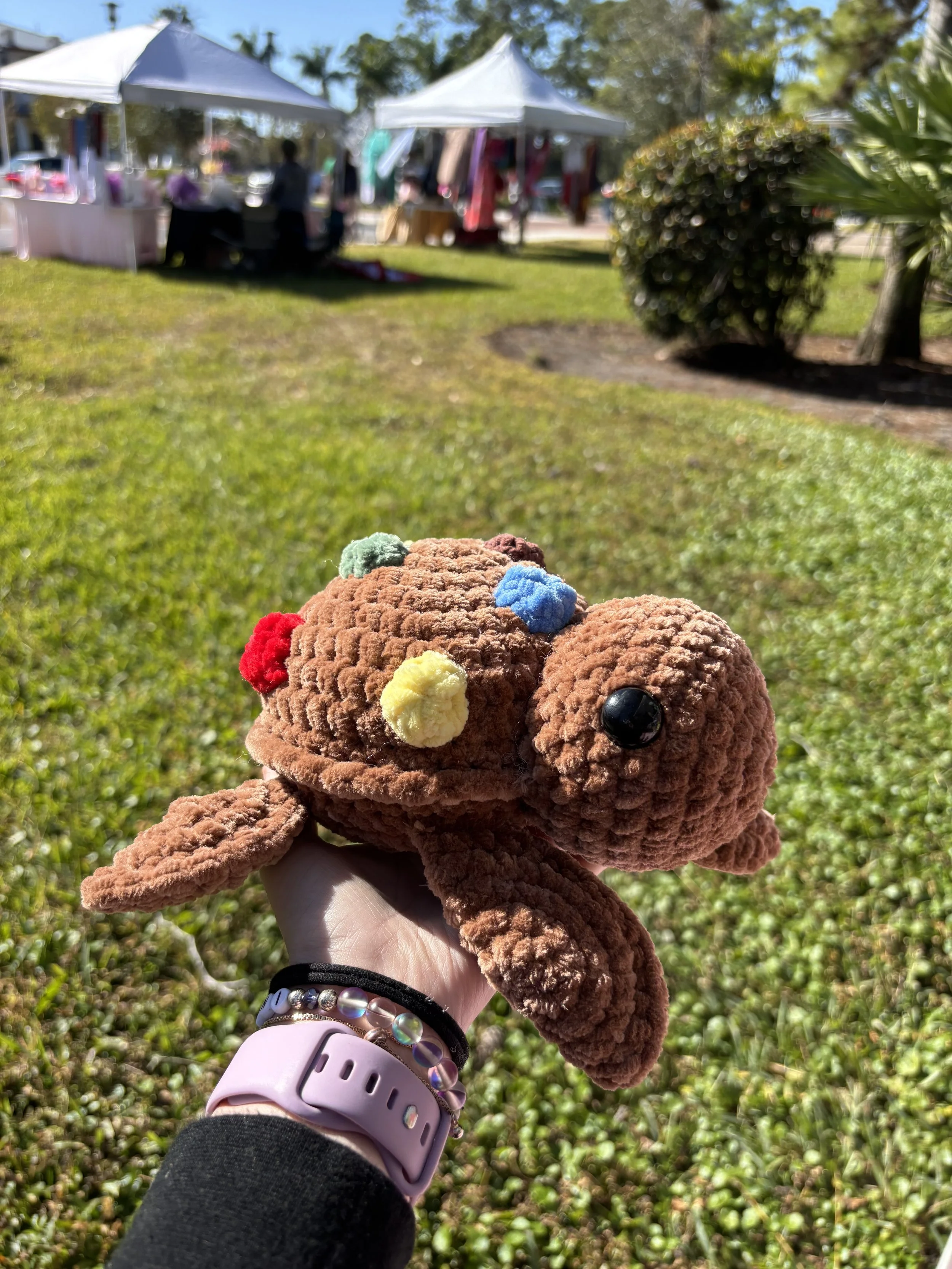 Crochet M&M Cookie Turtle NEW!!