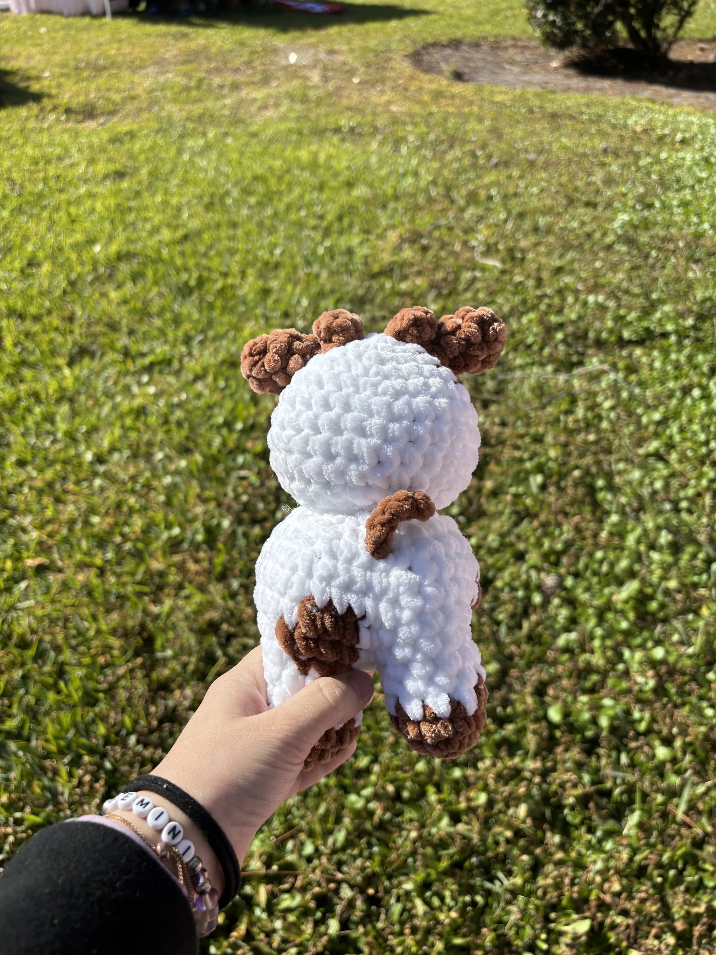 standing cow back.jpg