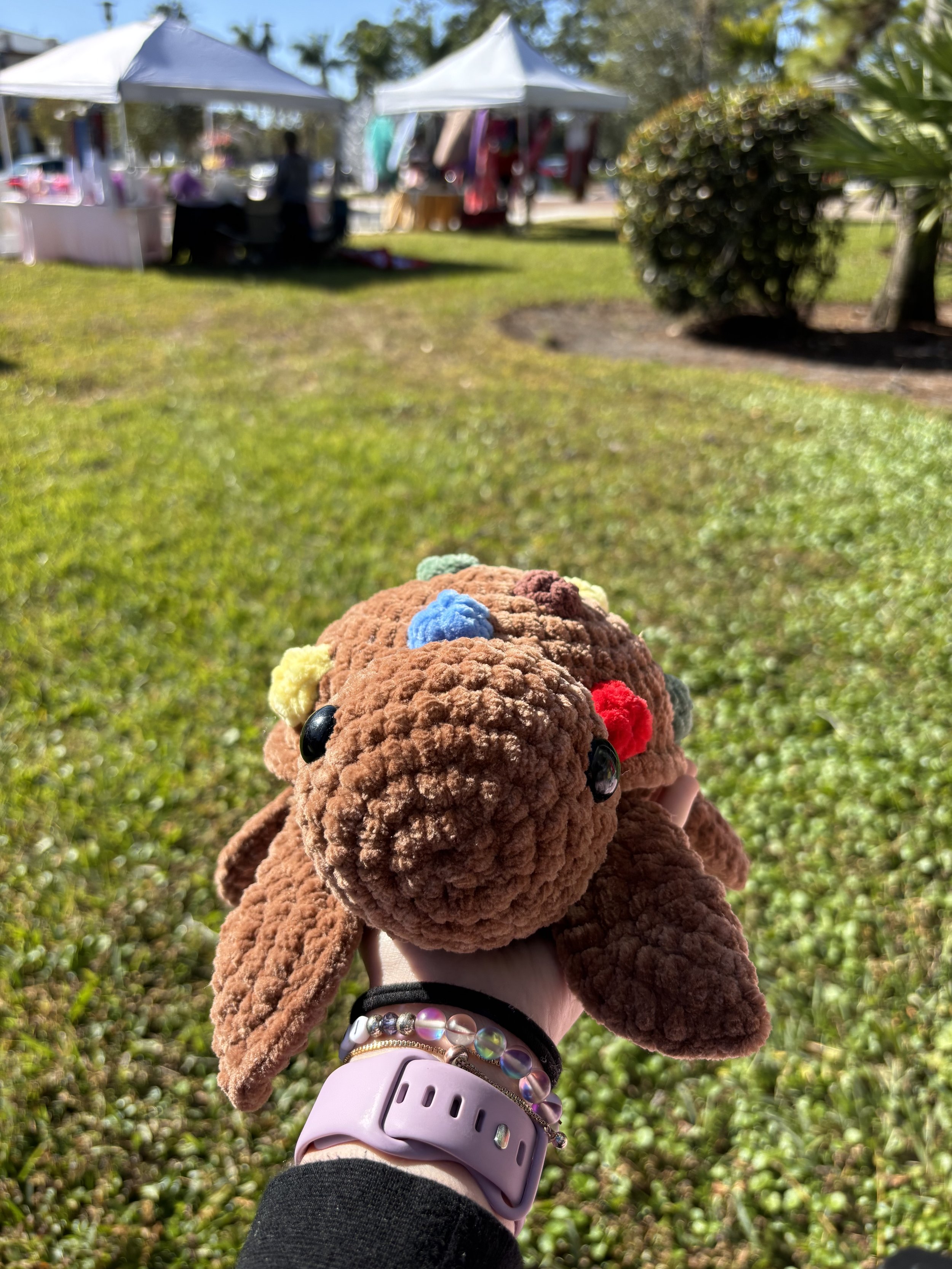 m&m turtle front.jpg