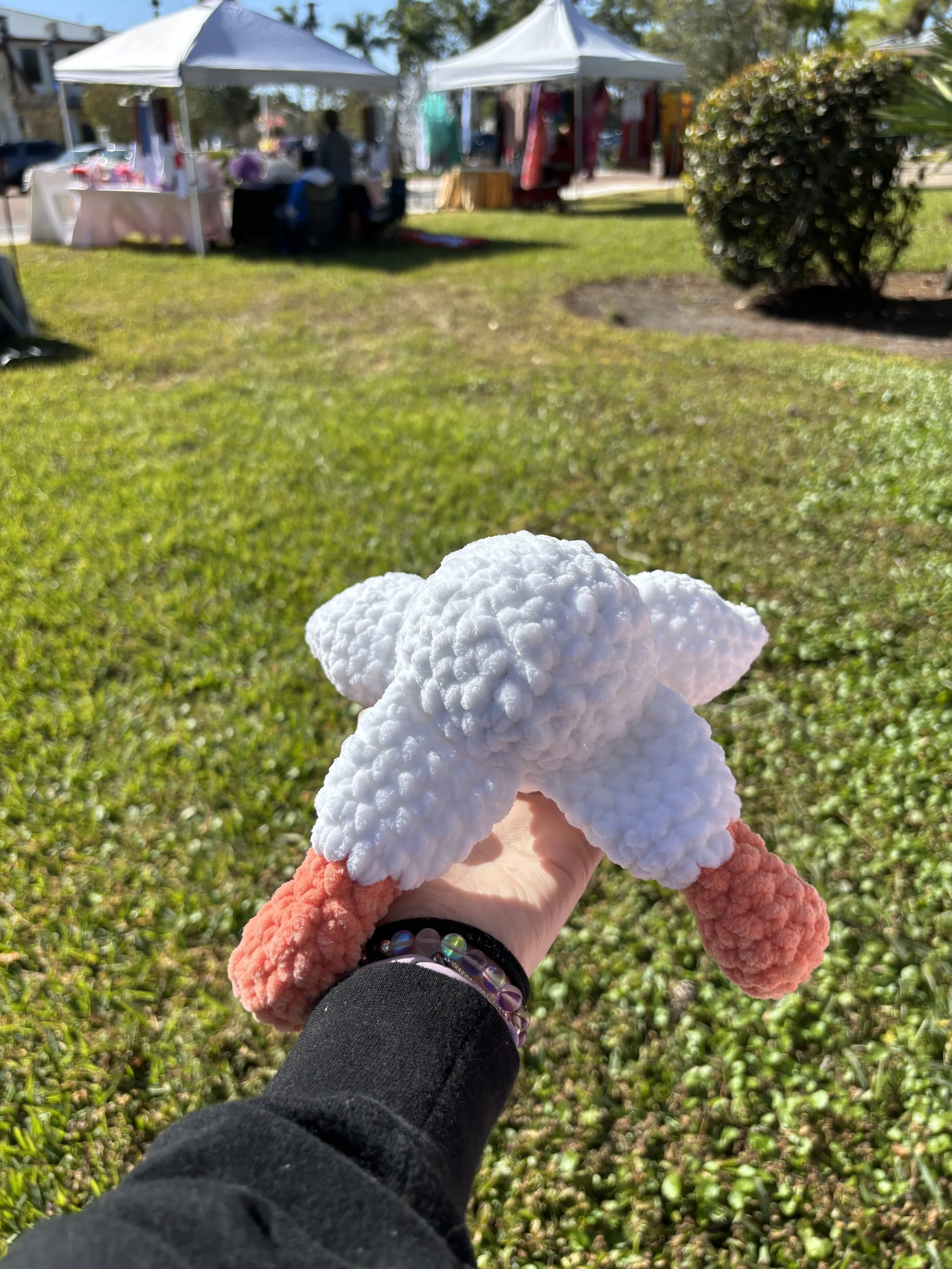 laying goose back.jpg