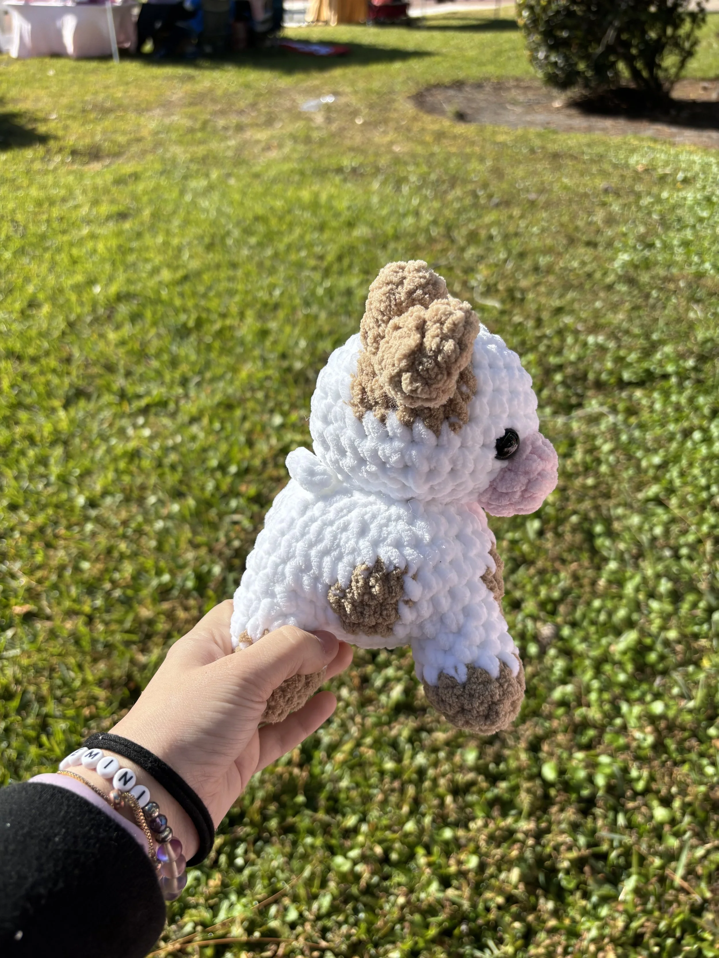 2 tone standing cow side.jpg