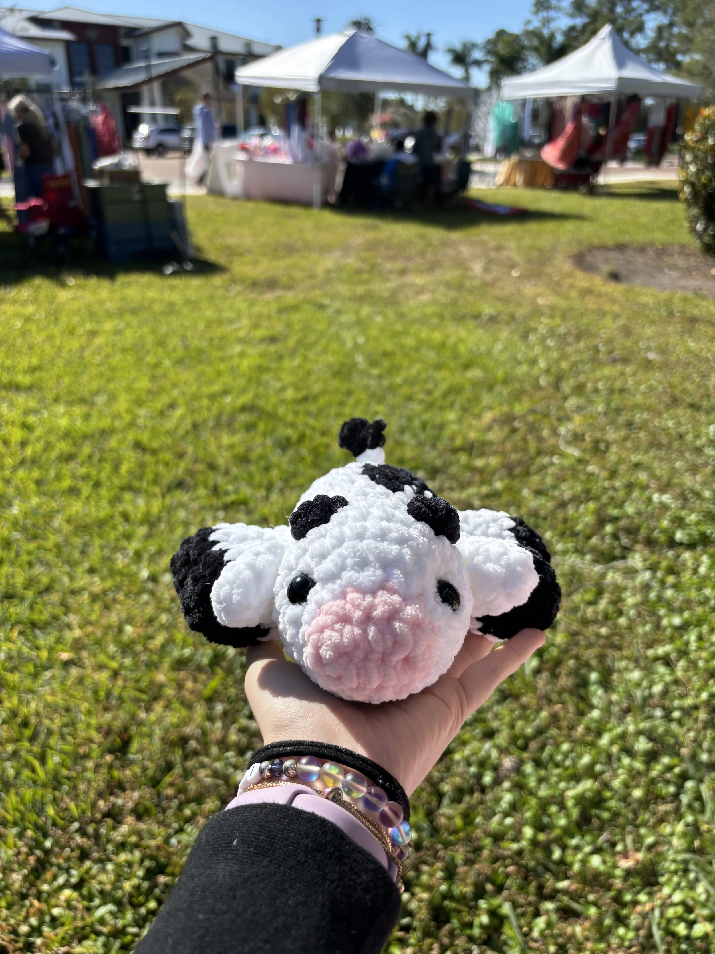 laying cow front.jpg