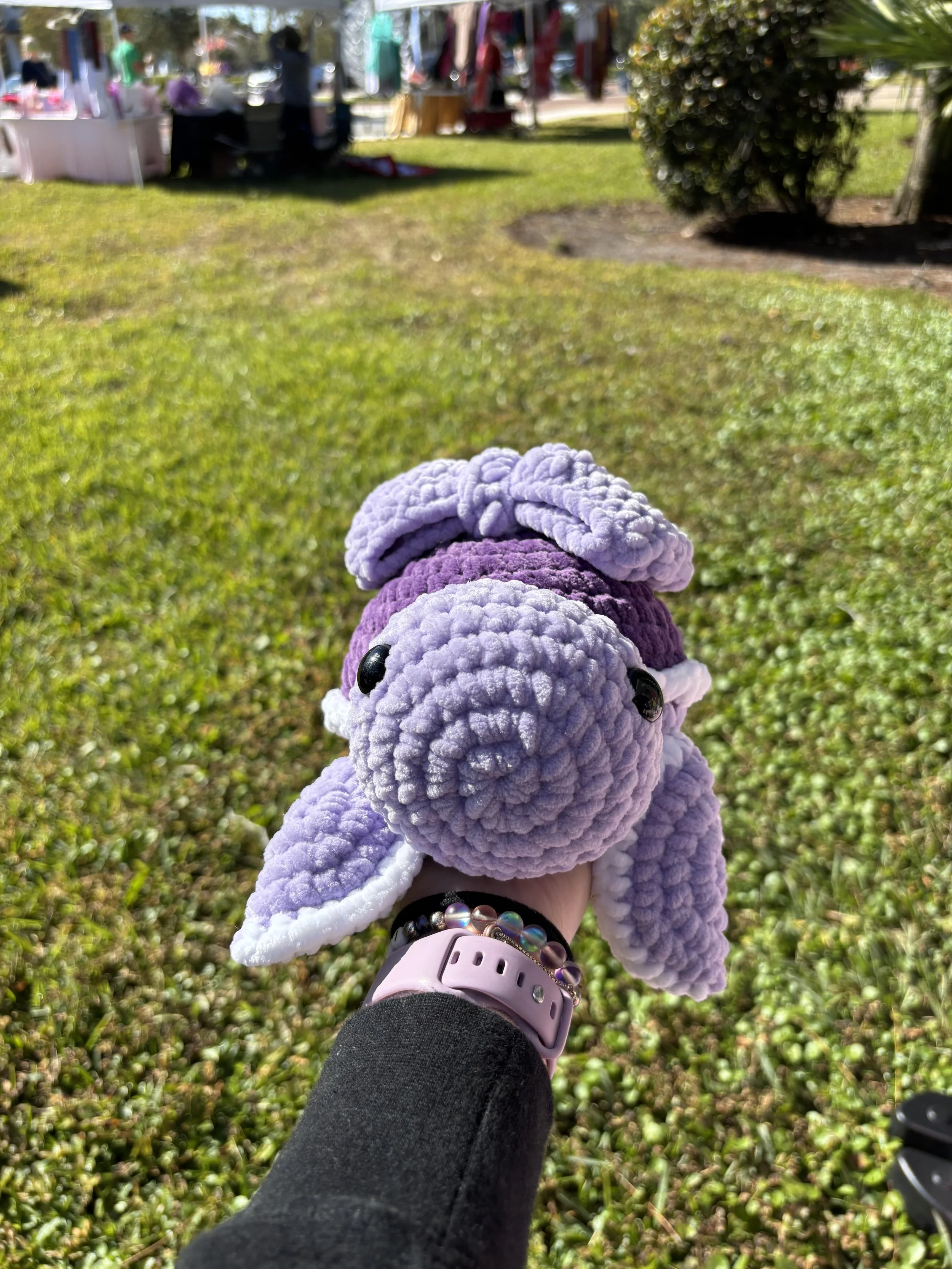 purple bow turtle front.jpg