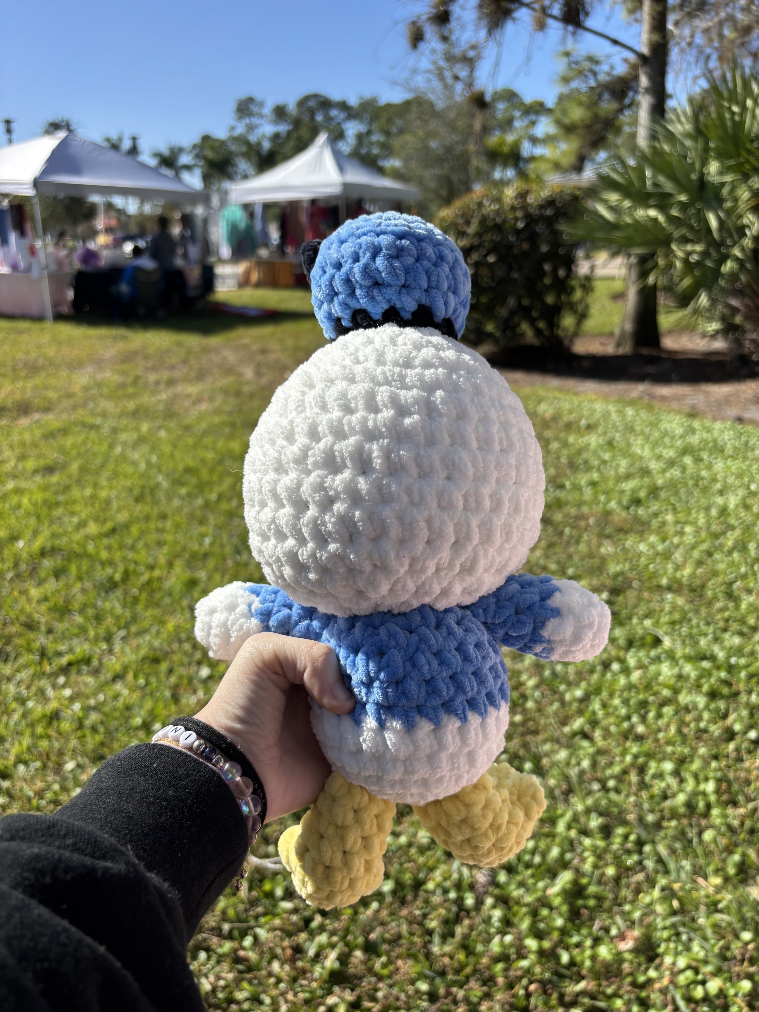 donald duck back.jpg