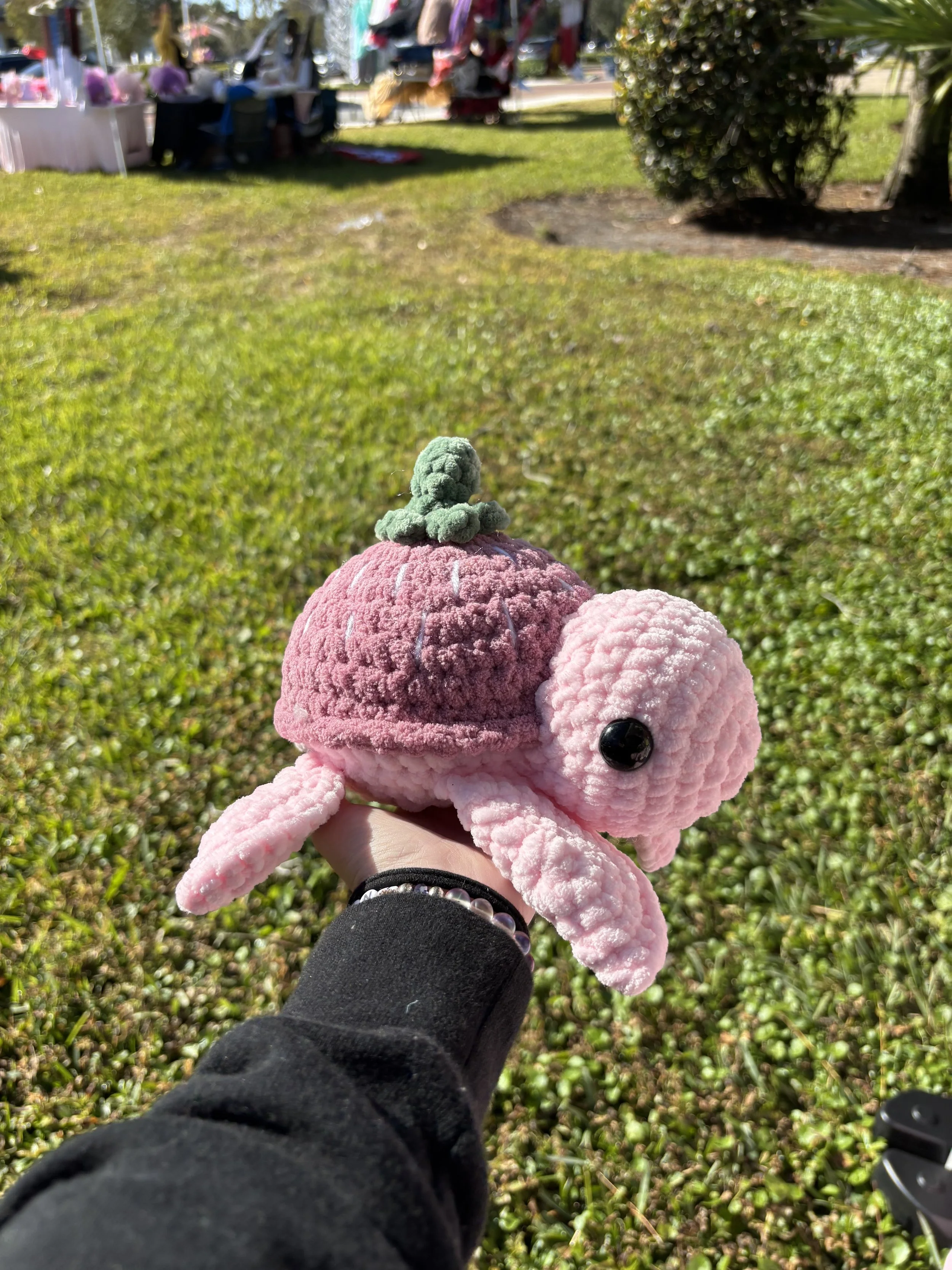 Crochet Strawberry Turtle NEW!!