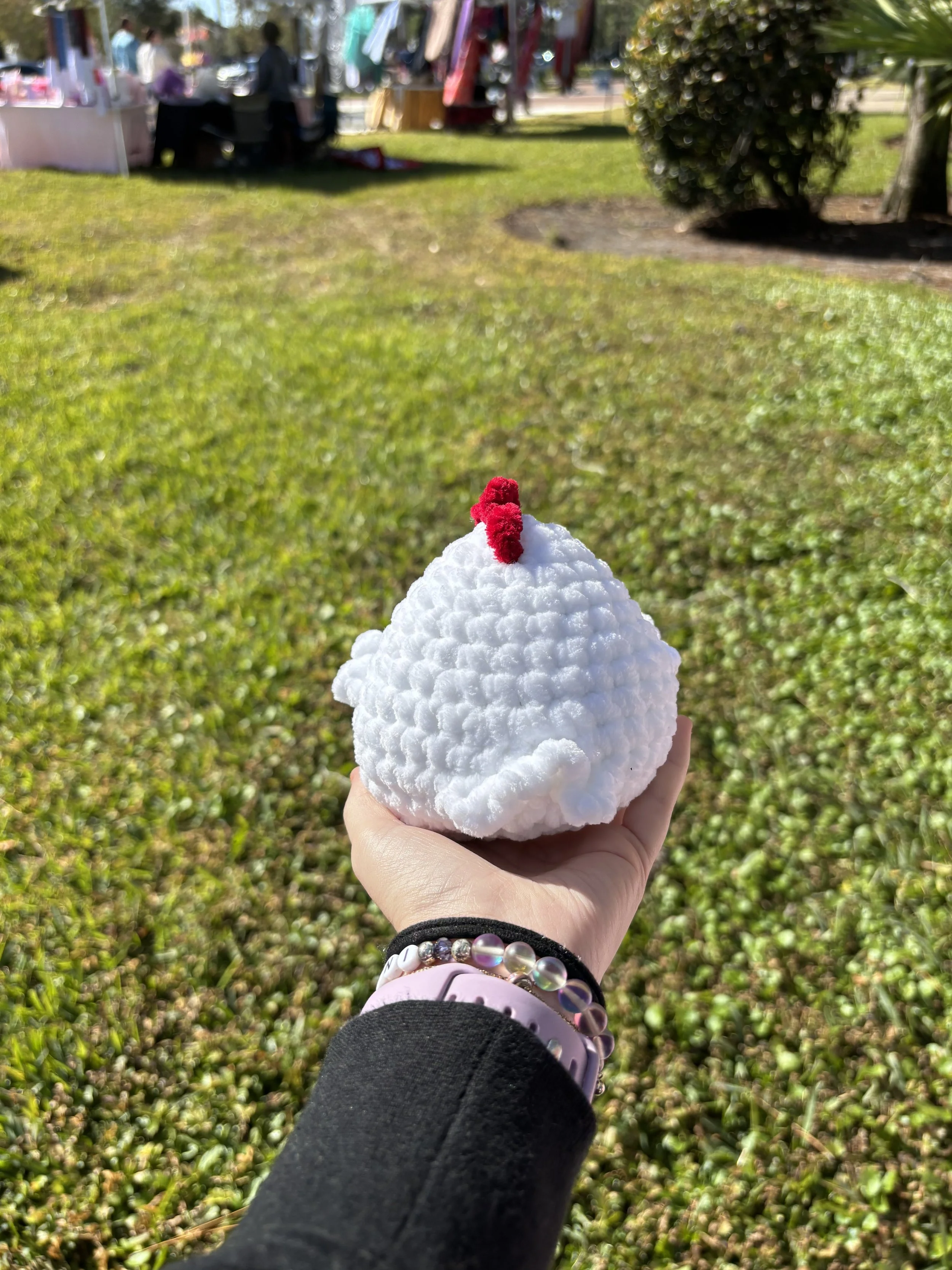 mini chicken back.jpg