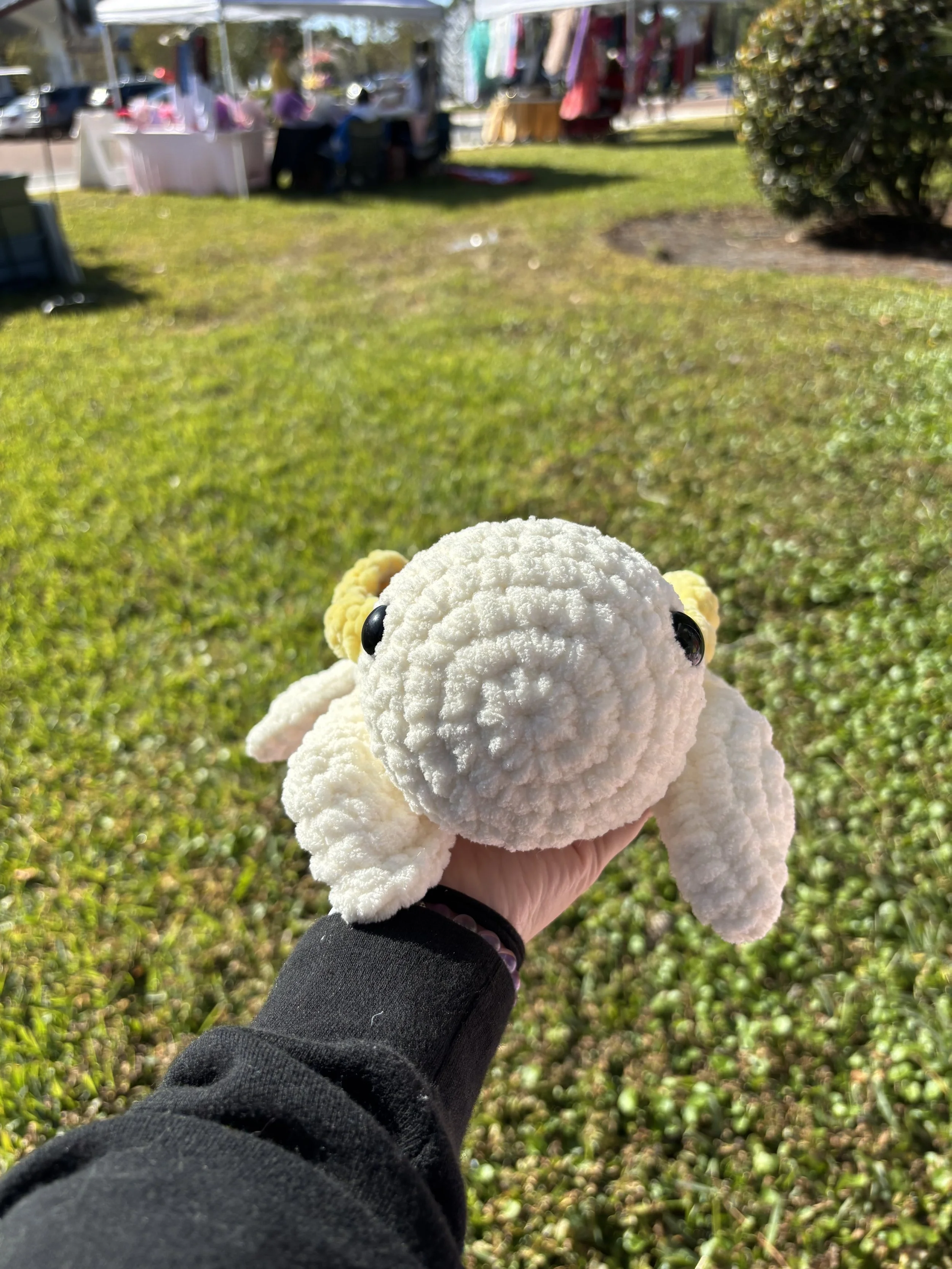 sunflower turtle front.jpg