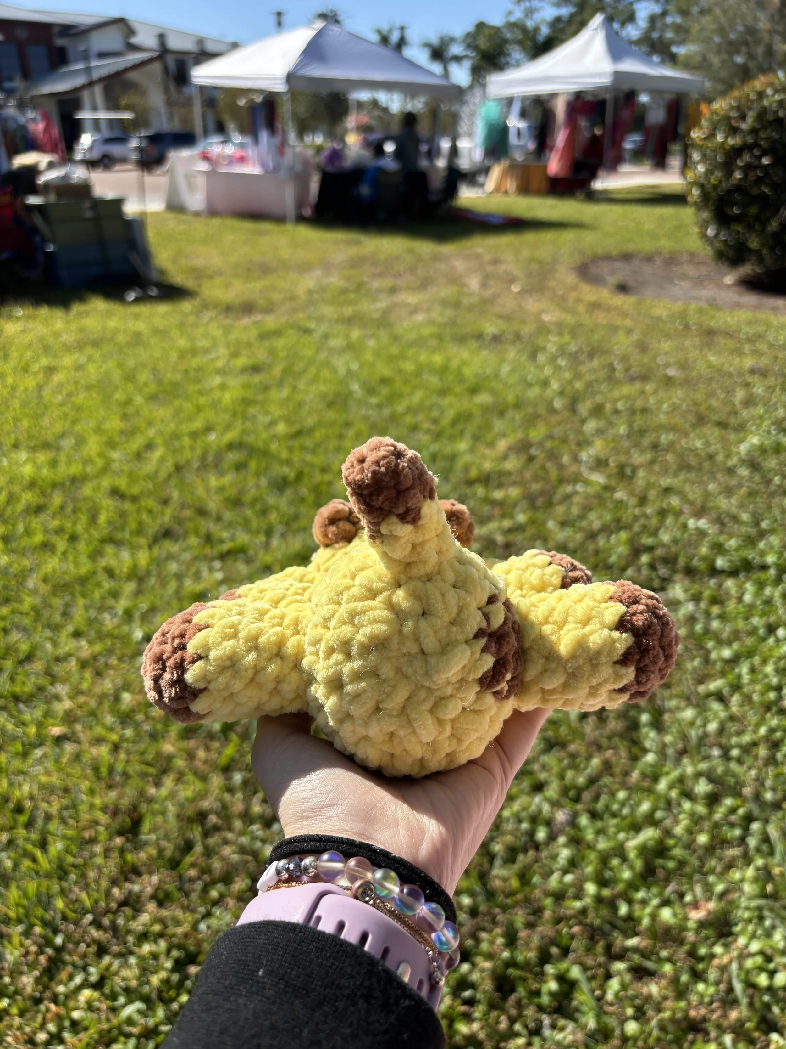 laying giraffe back.jpg