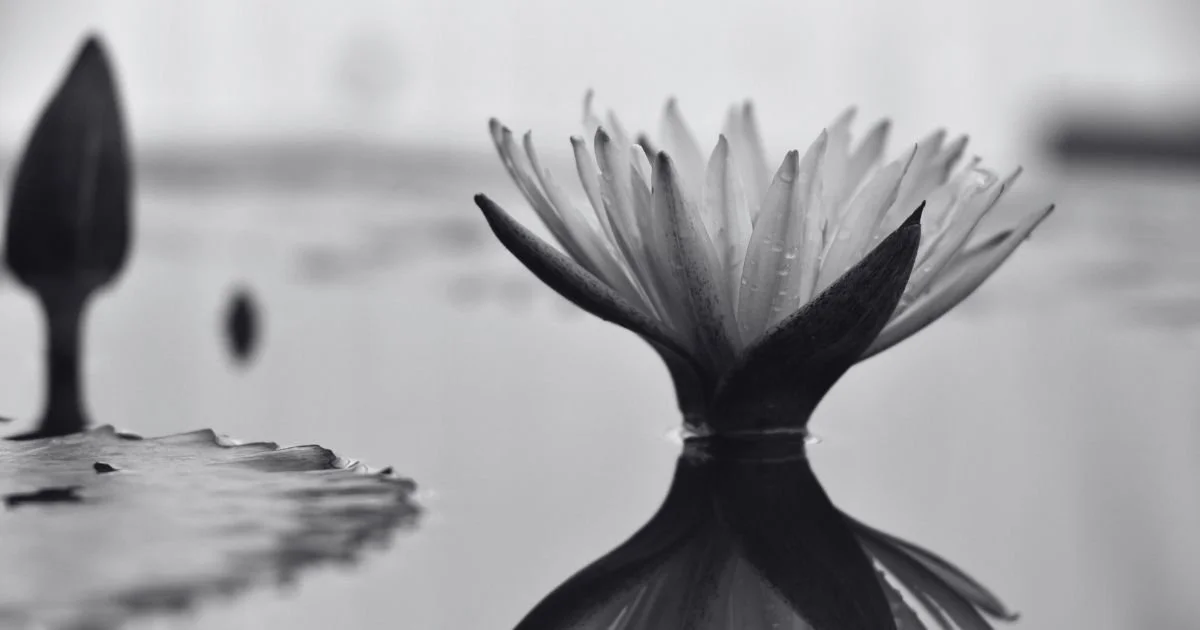 Begin with Purpose and Moral Leadership