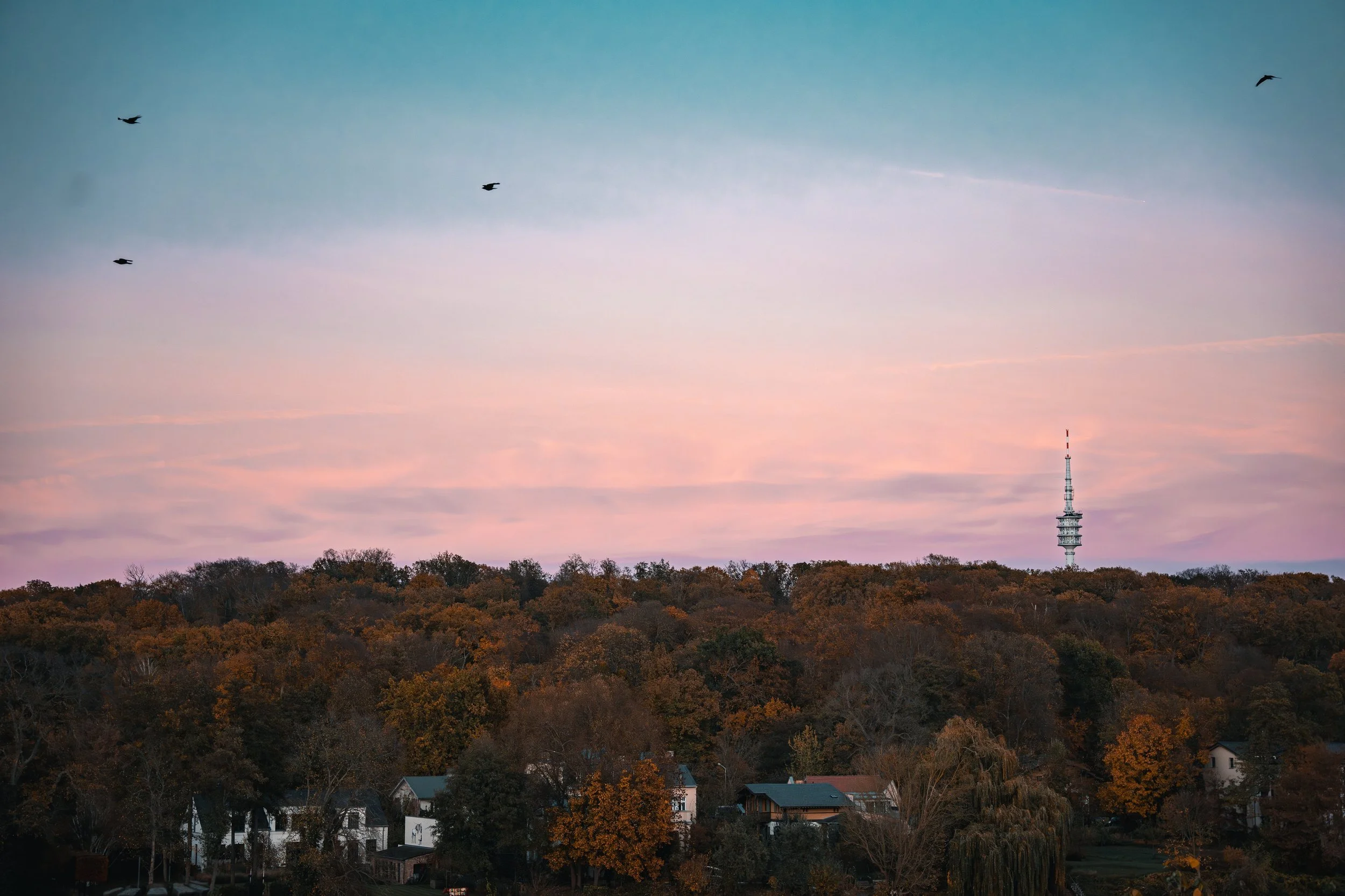pexels-christiyana-kruger-2013984630-29392511.jpg