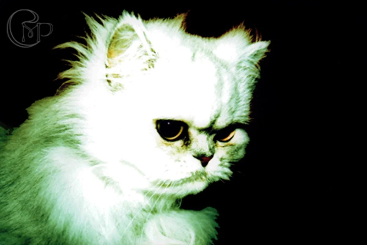 2006-08-02 06-23.jpg