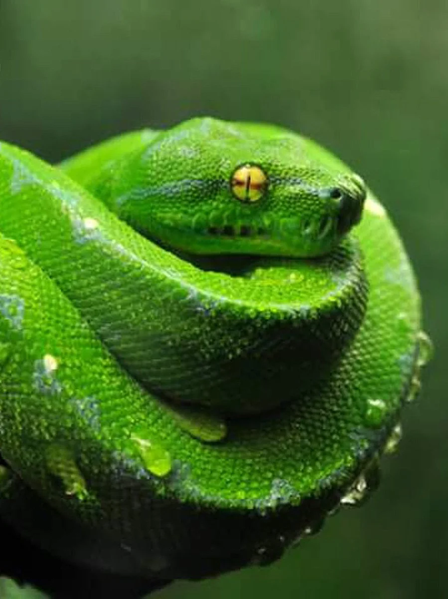 2006-08-04 04-52.jpg