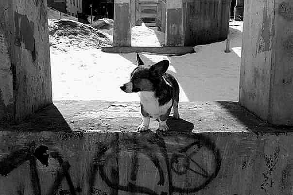 2006-08-04 04-32.jpg