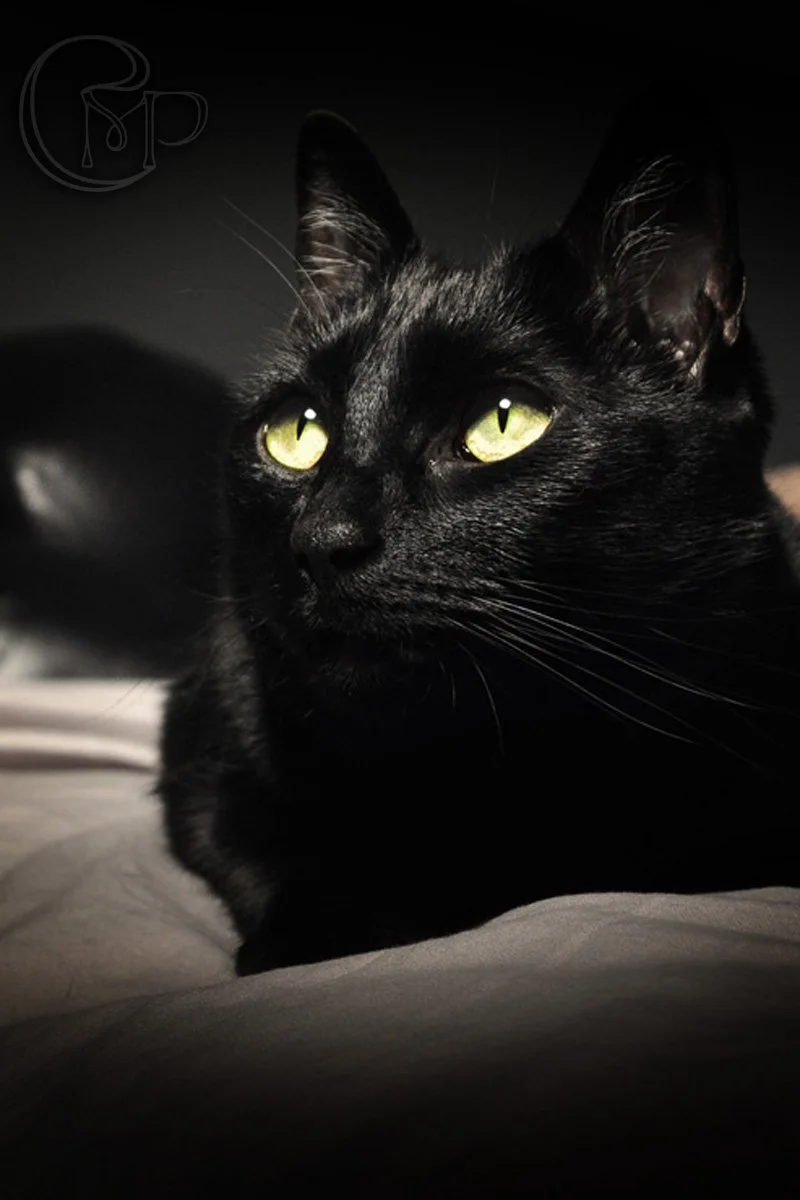 2006-08-02 06-05-01.jpg