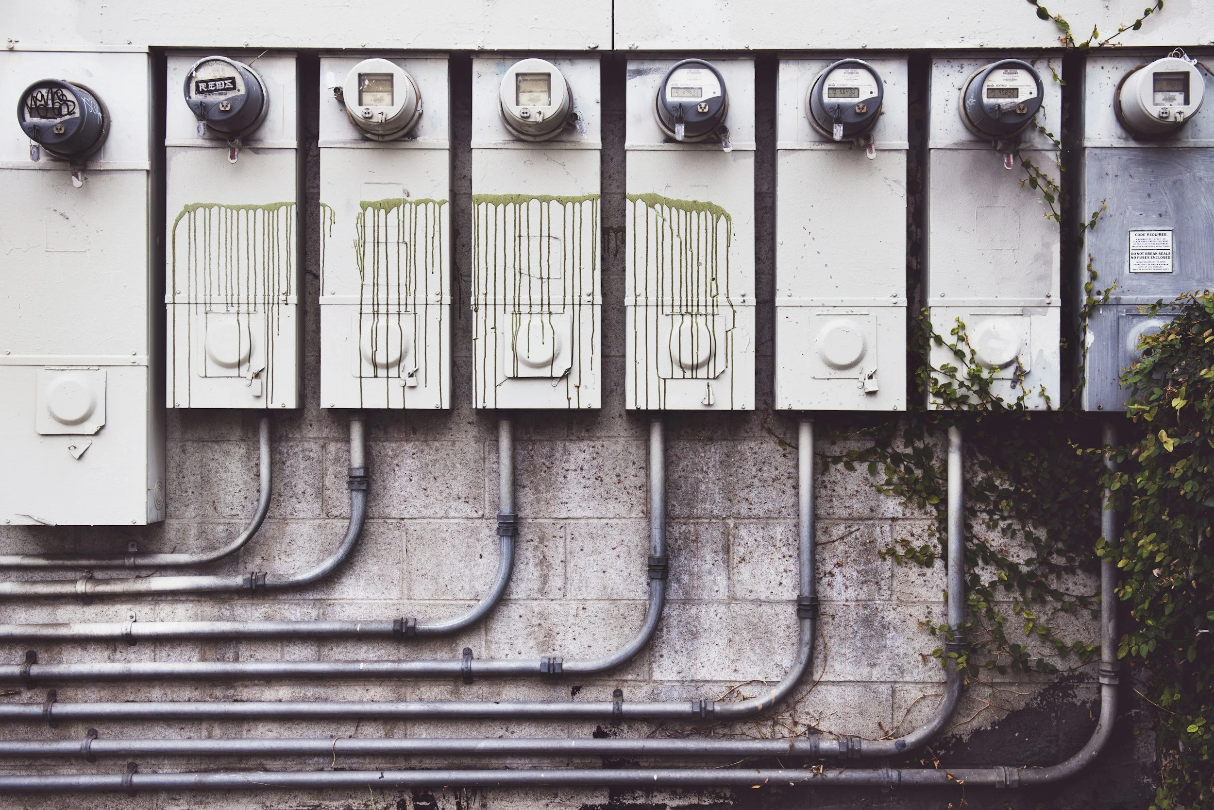 Multiple electric meters mounted on a wall, with some dripping green liquid and surrounded by electrical conduit pipes and some greenery.
