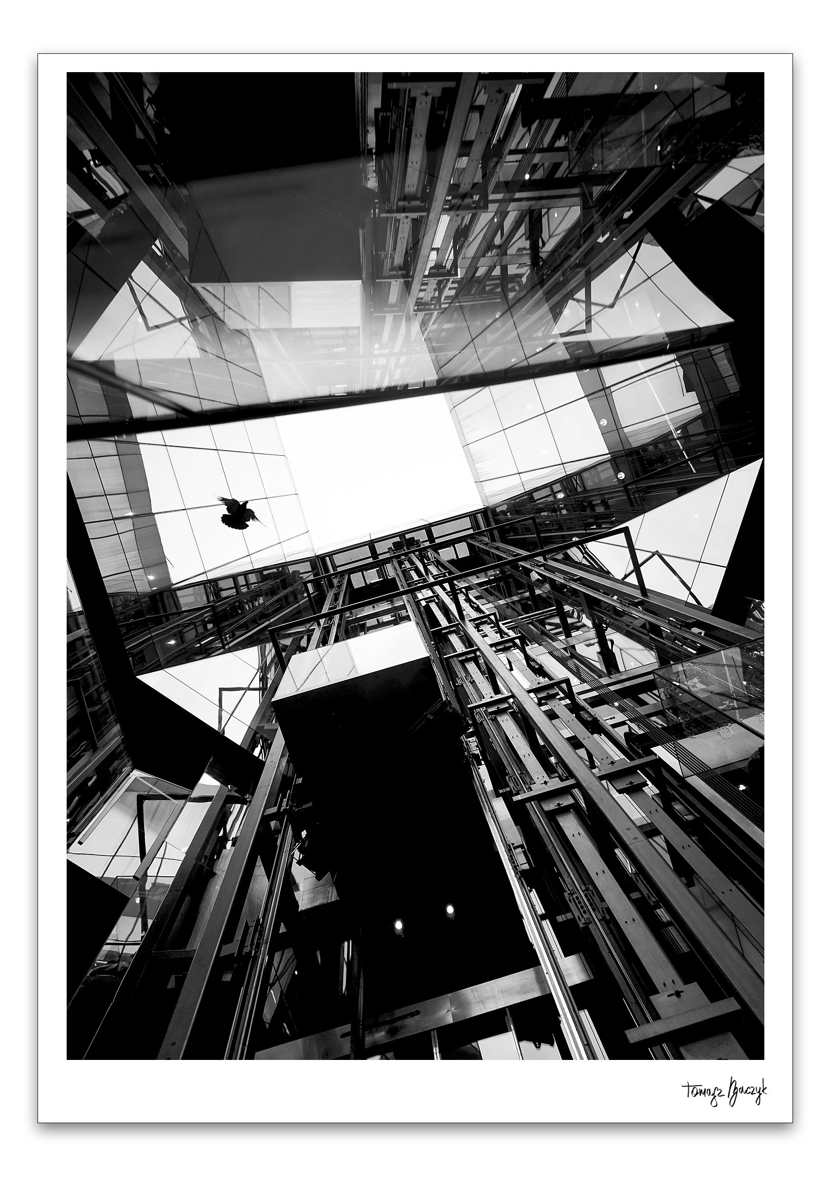ALWAYS LOOK UP.jpg
