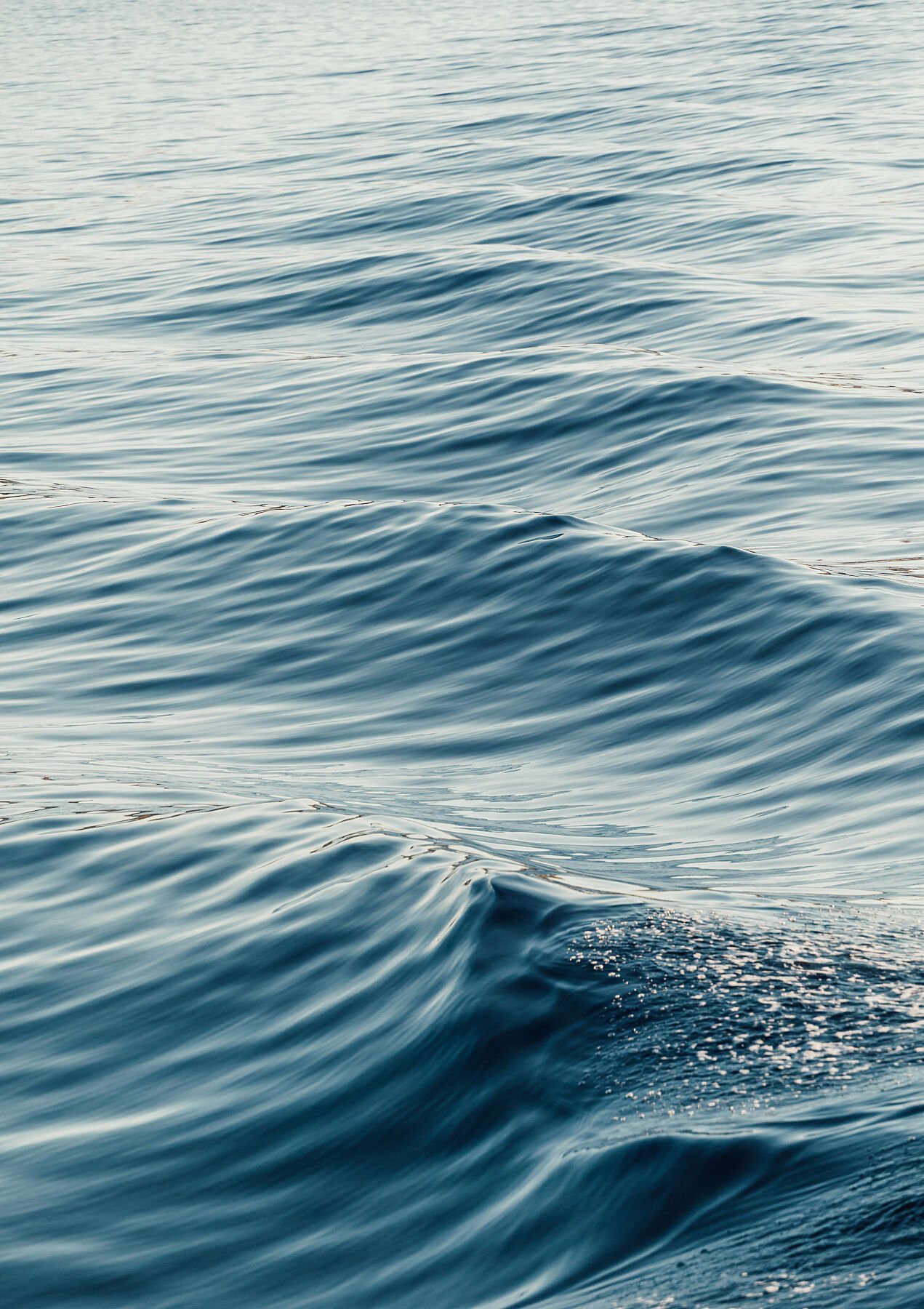 WAVES