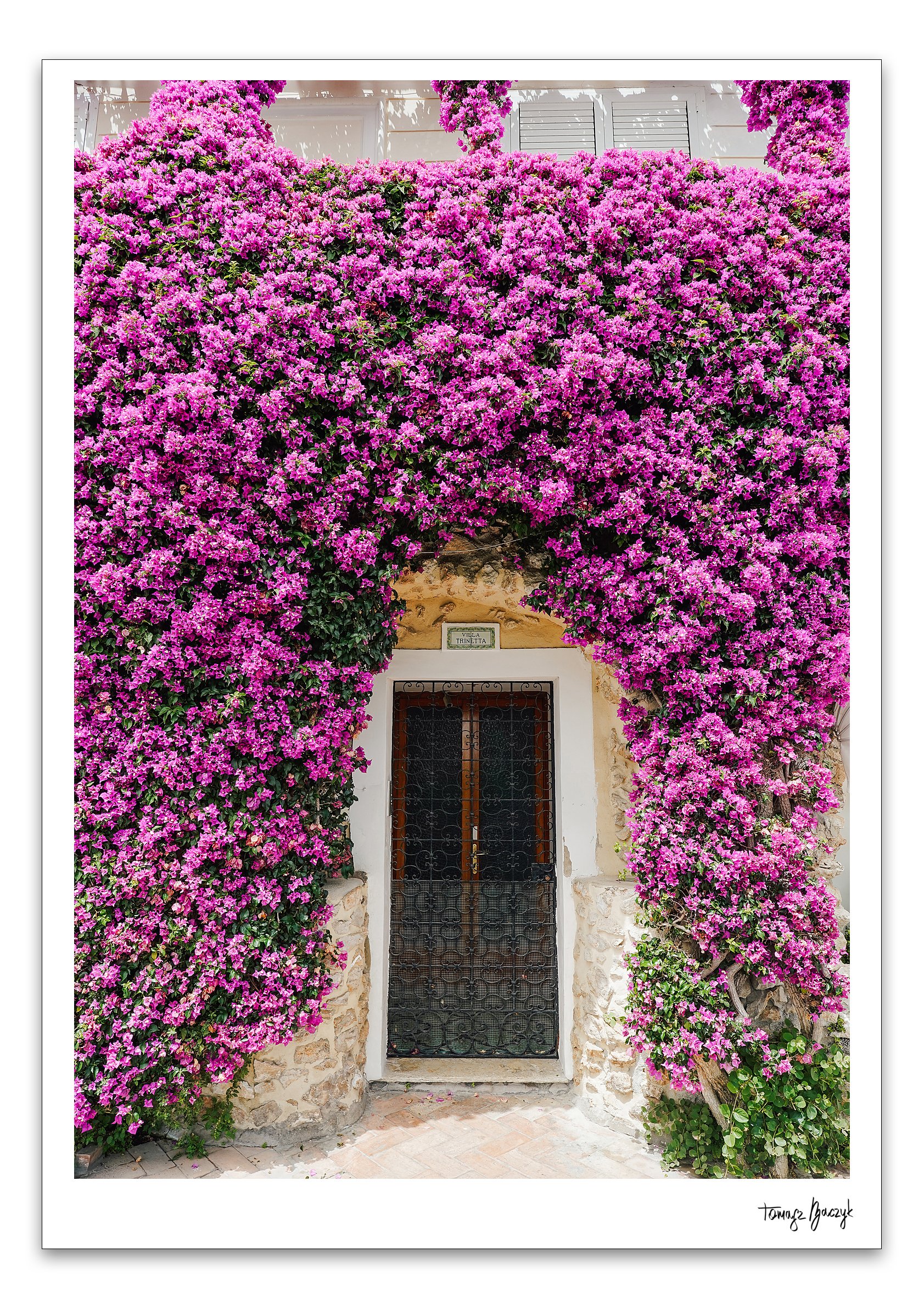 VILLA TRINETTA.jpg