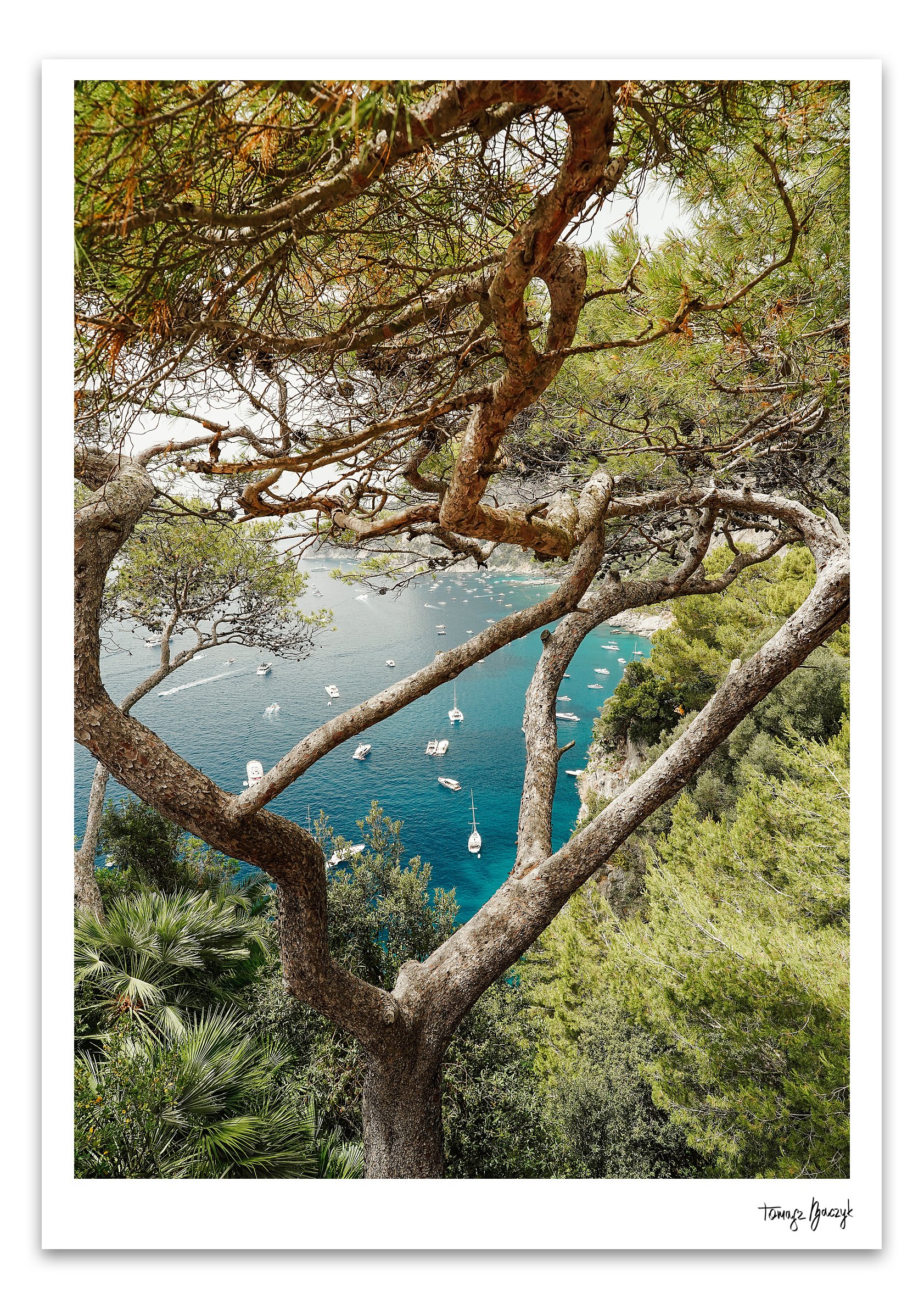 CAPRI DREAM II.jpg