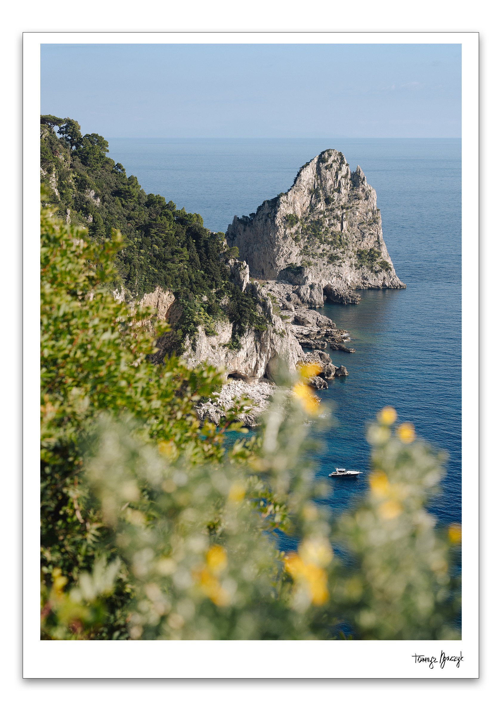 CAPRI DREAM.jpg