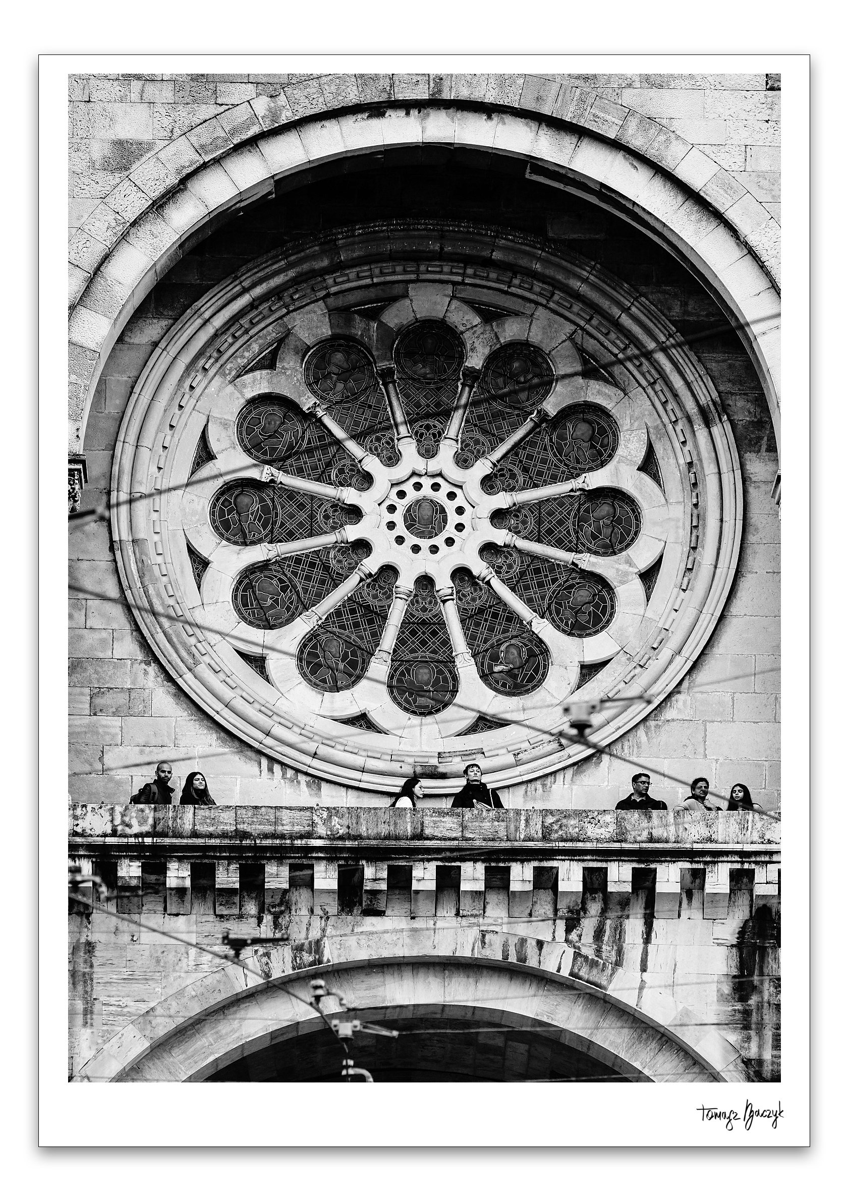 THE STAR OF ALFAMA.jpg