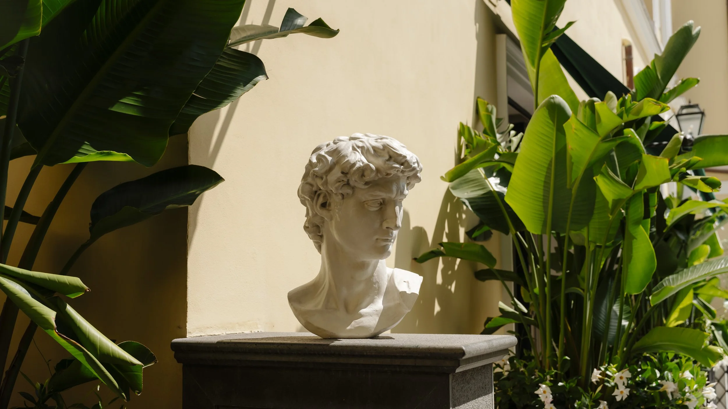 _A7R0771.jpg