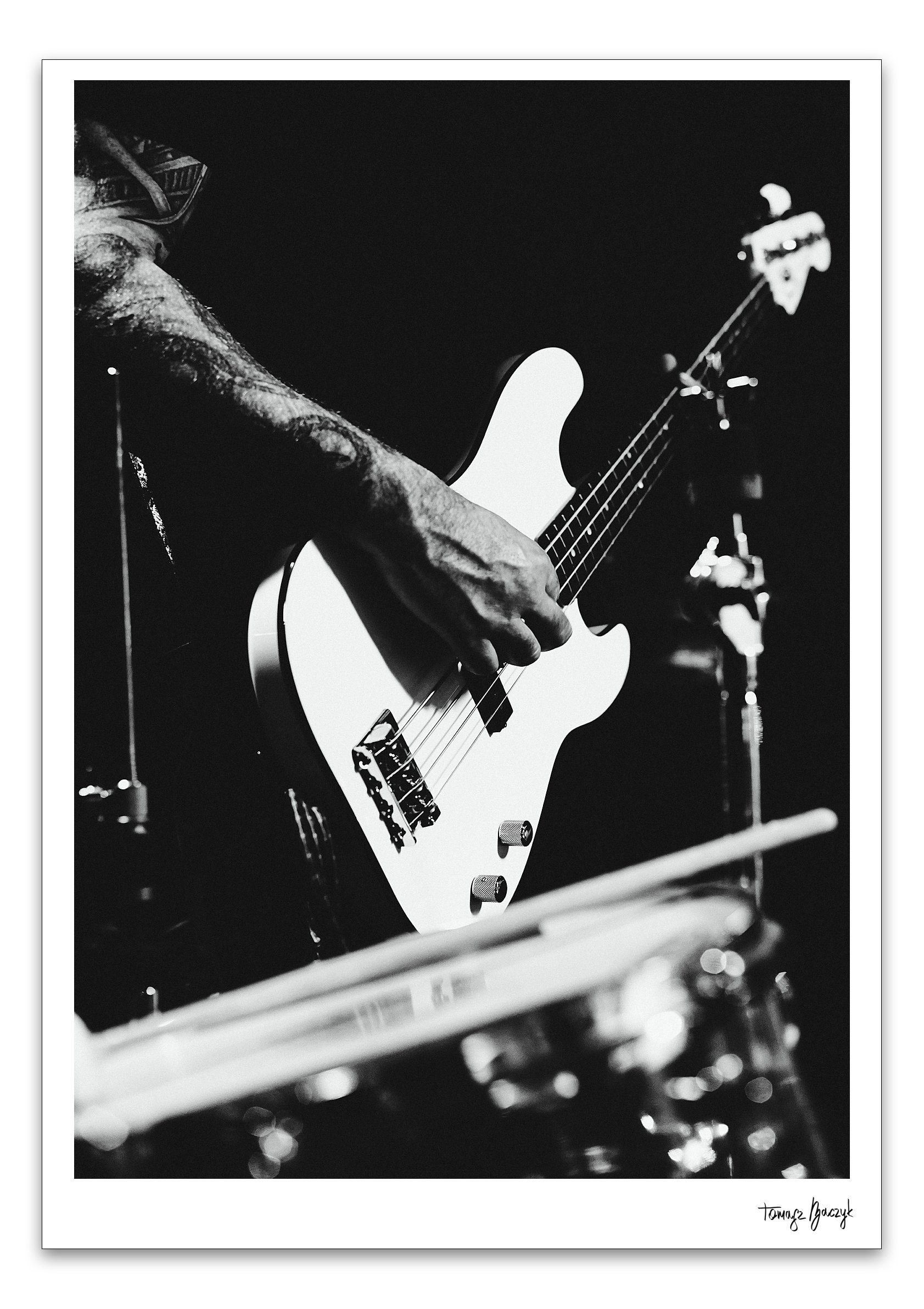 BASS BOSS II.jpg