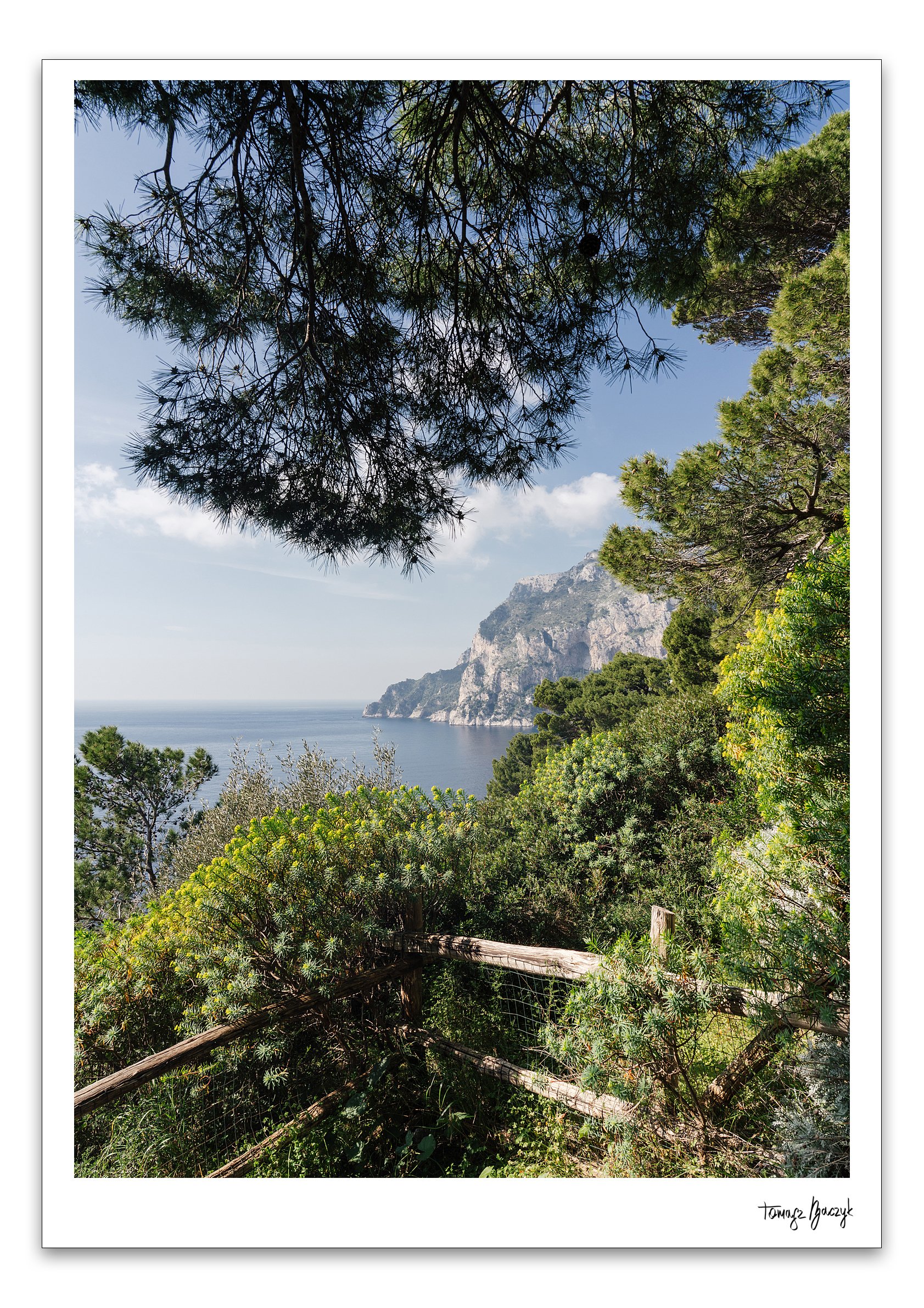 CAPRI TIMELESS.jpg