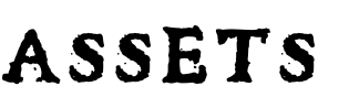The word 'ASSETS' written in bold, black, distressed font on a white background.