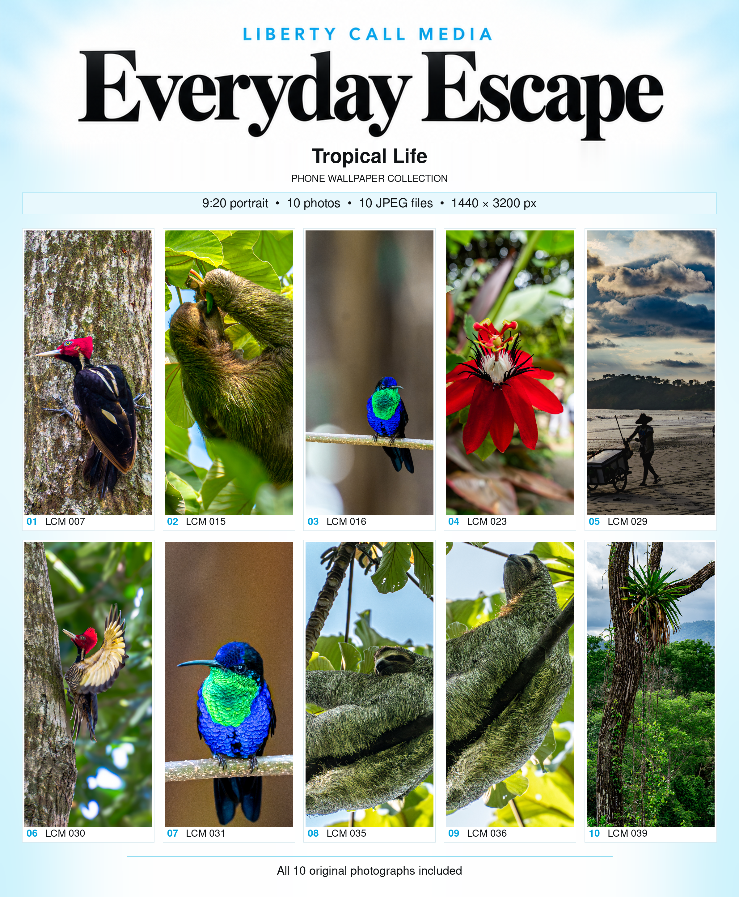 All 10 Tropical Life phone wallpaper photographs in 9:20 portrait format