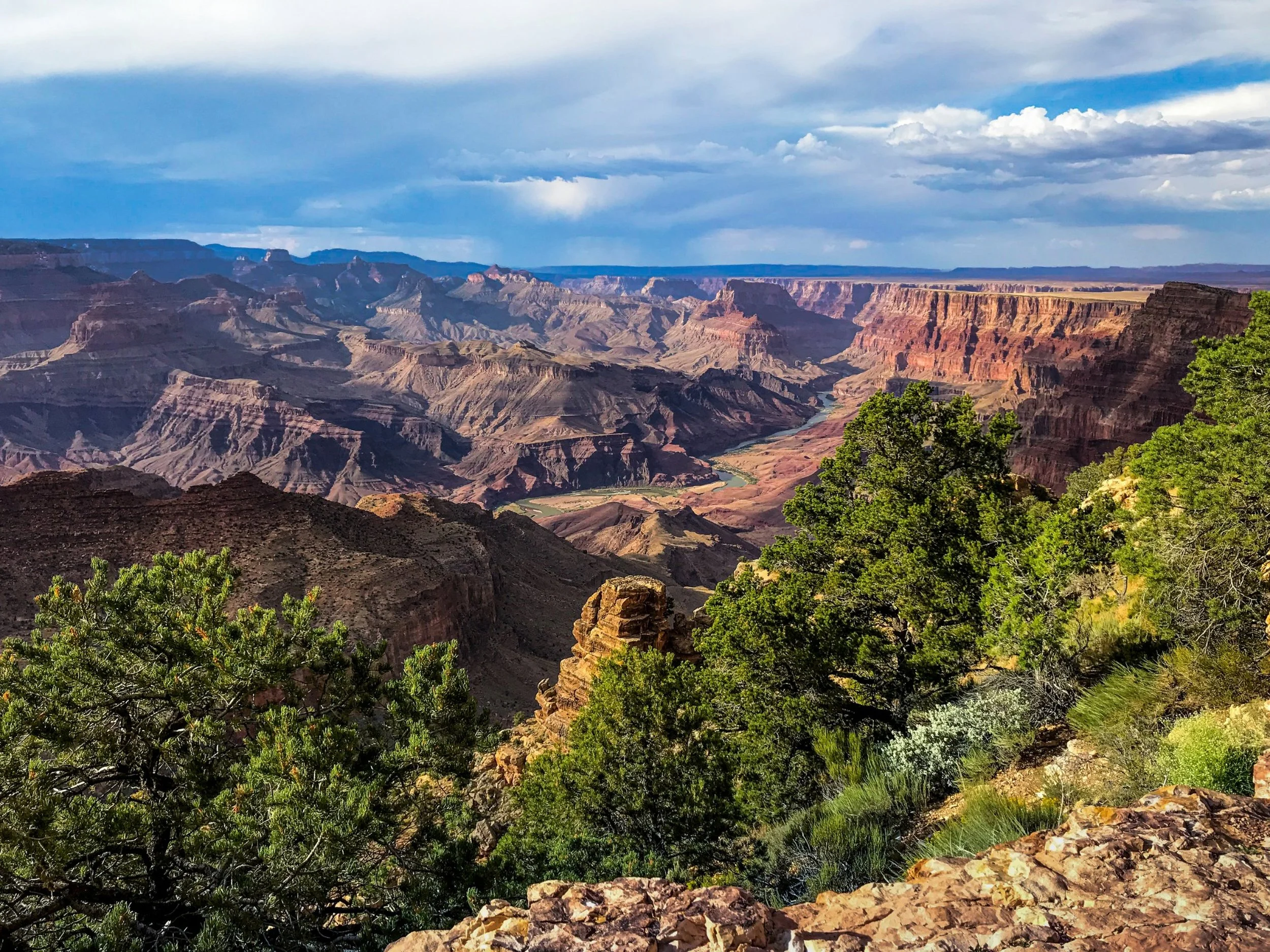 Layered canyon cliffs viewed from a rocky, tree-lined overlook