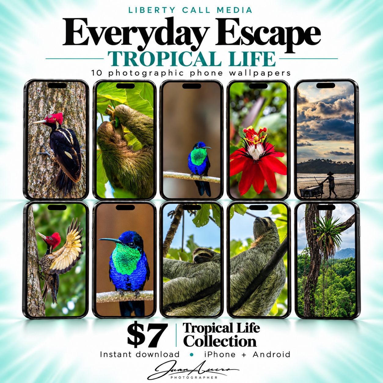 Everyday Escape: Tropical Life Phone Wallpaper Collection